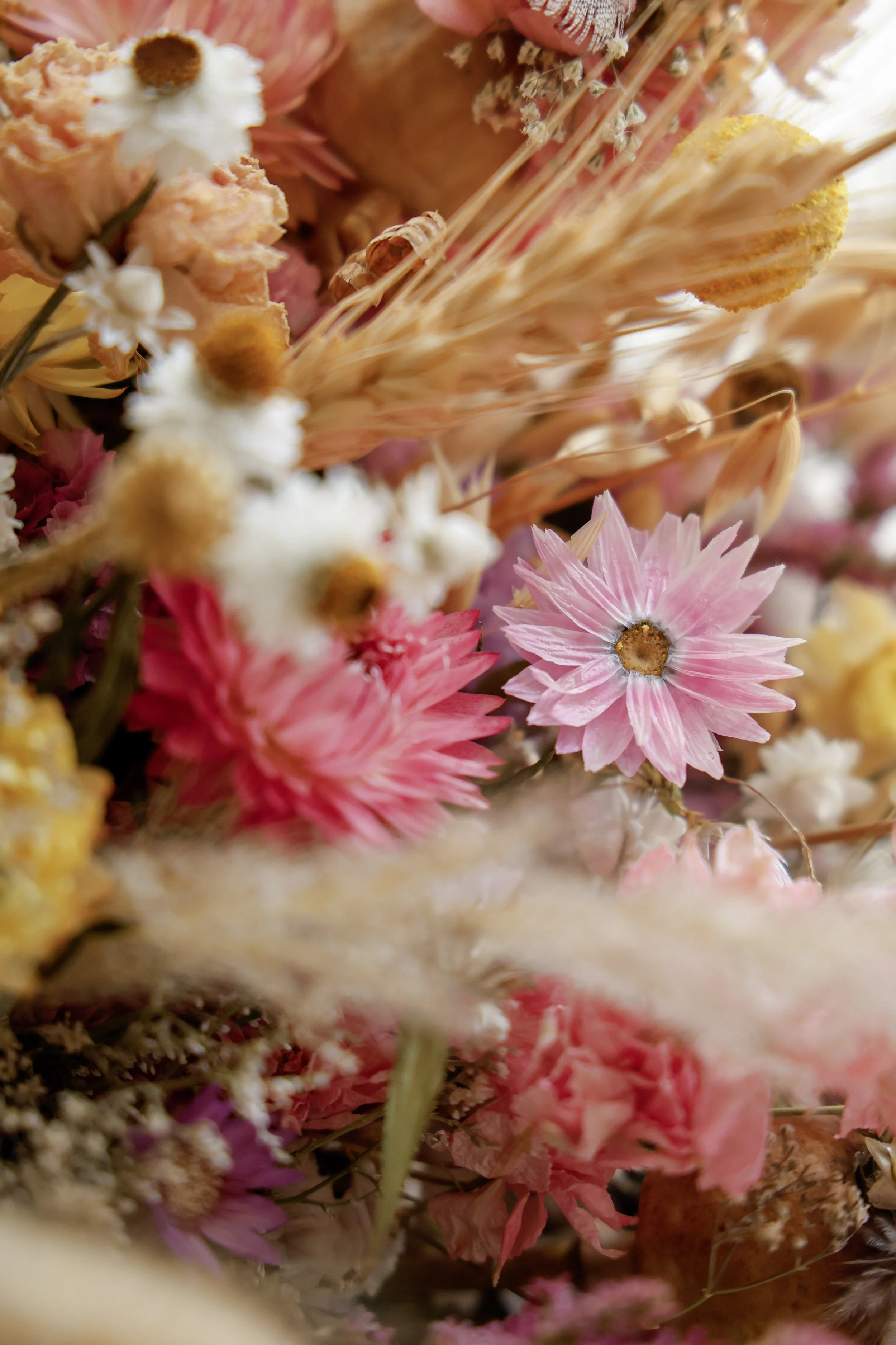 8-_MG_4791 (1).jpg