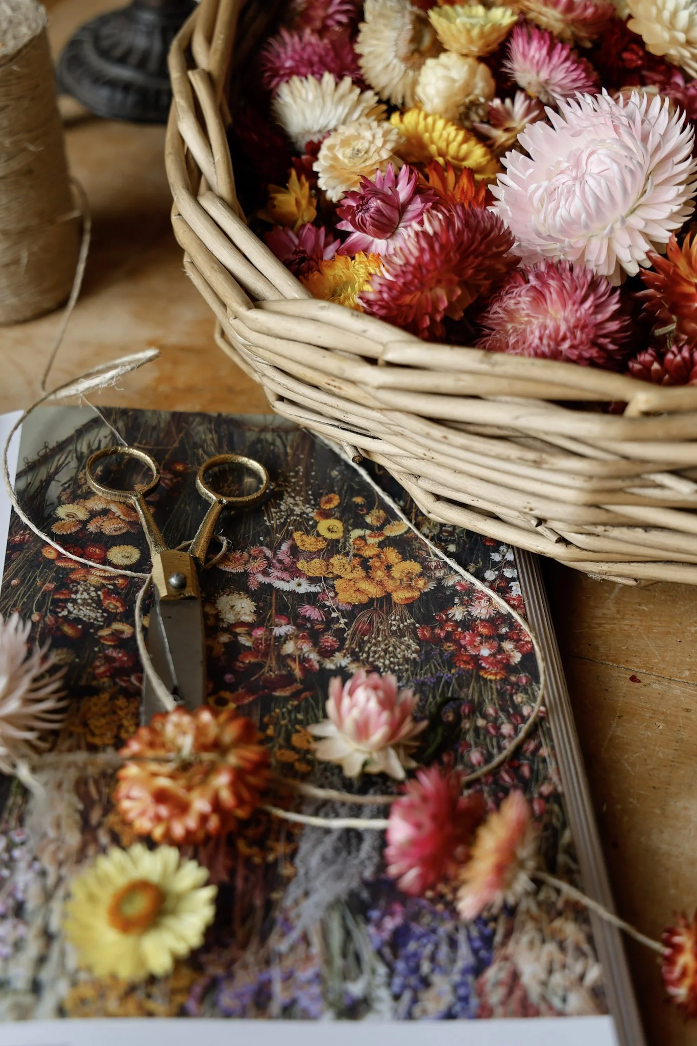 Dried Flower Confetti — MY FORAGED LIFE