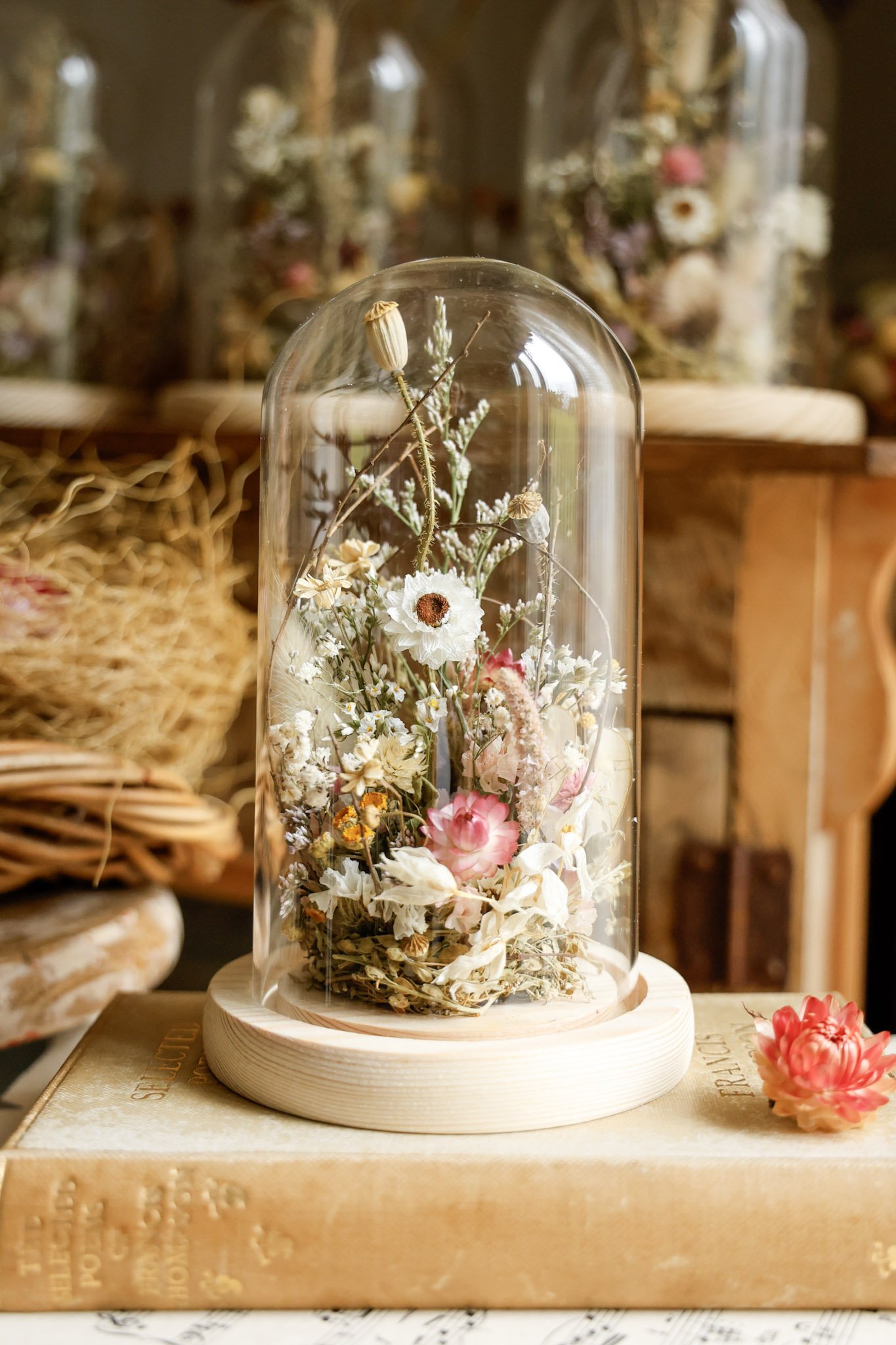 Songbird Nest Cloche ~ Medium