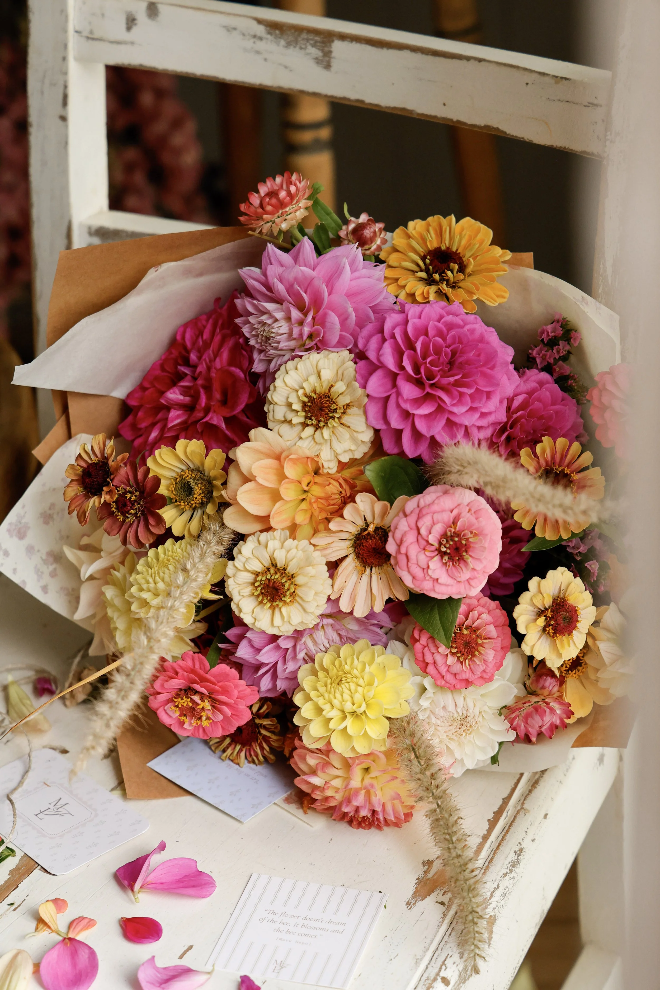 1-_MG_2949 (1).jpg