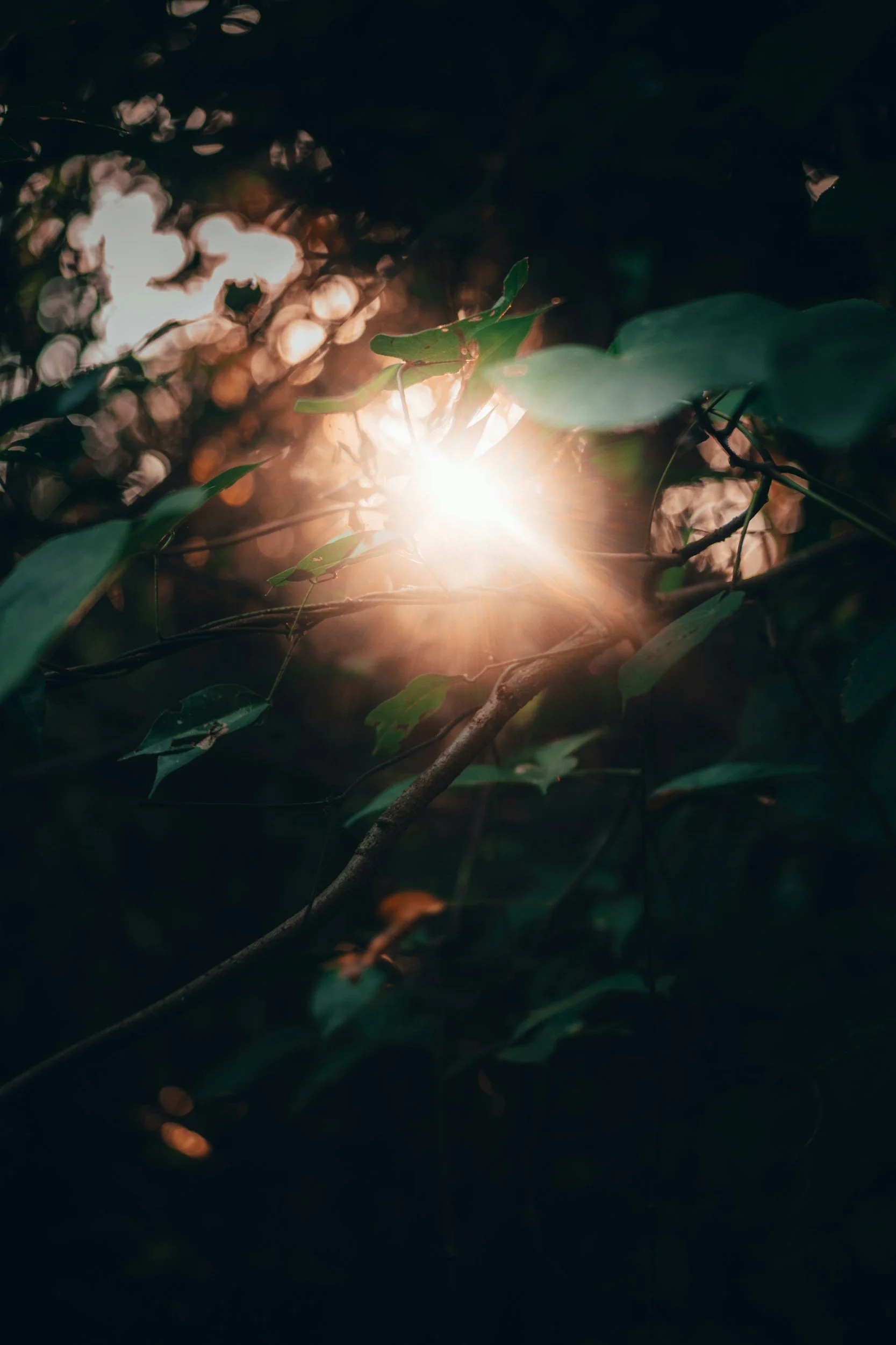 From Burnout to Breakthrough: Building Rhythms That Last