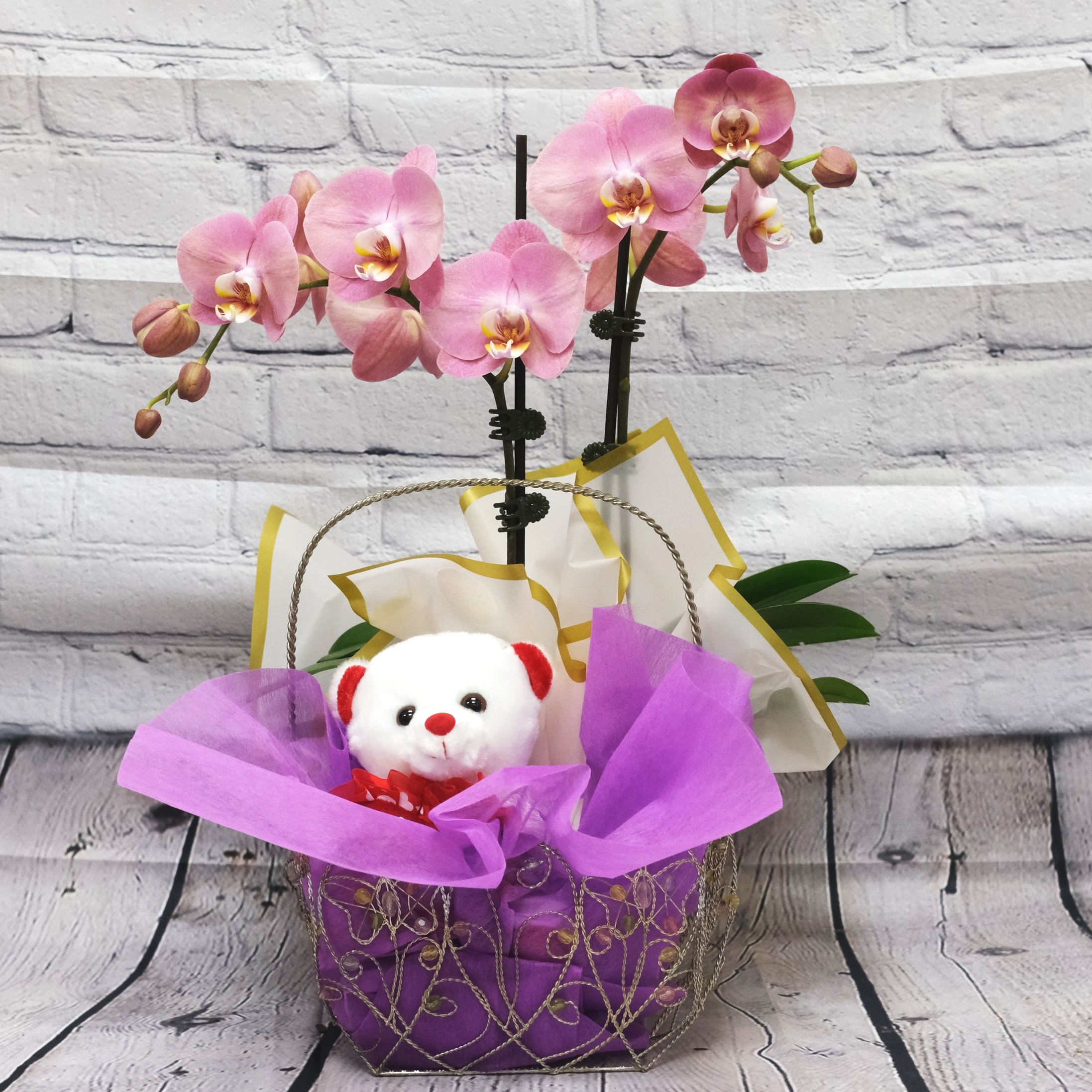 Pink Orchid & Teddy Bear Arrangement