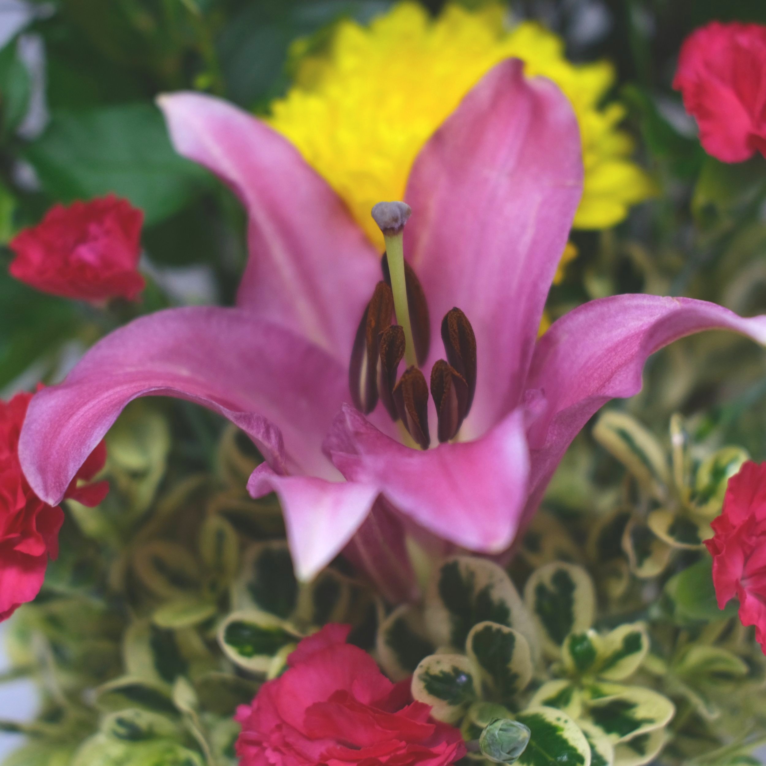 DSCF5819.jpg
