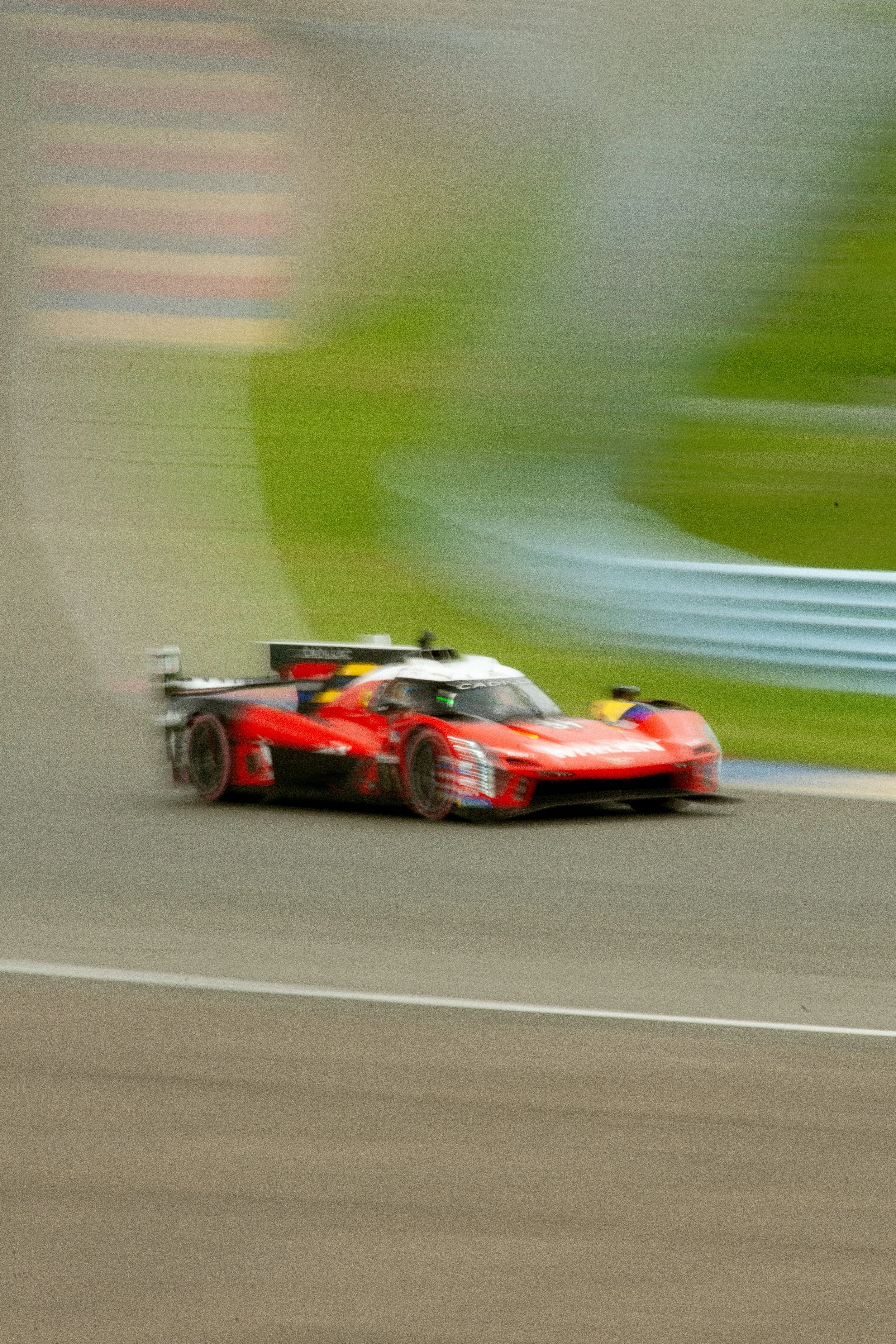 IBP_5920.jpg