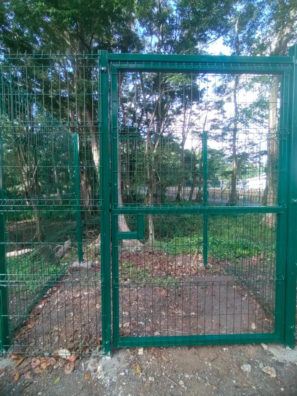 PHOTO-2024-08-11-23-02-36 28.jpg