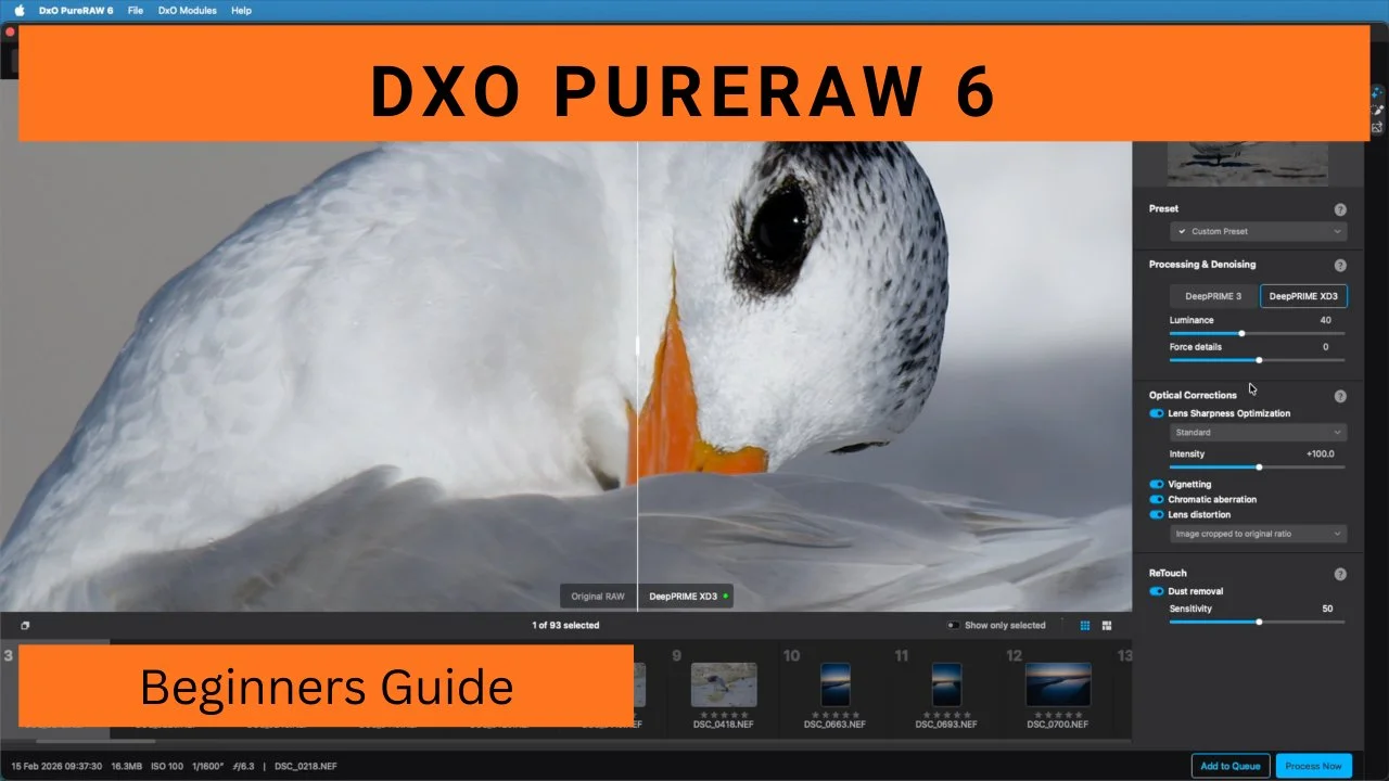 Beginners Guide to DXO PureRAW 6