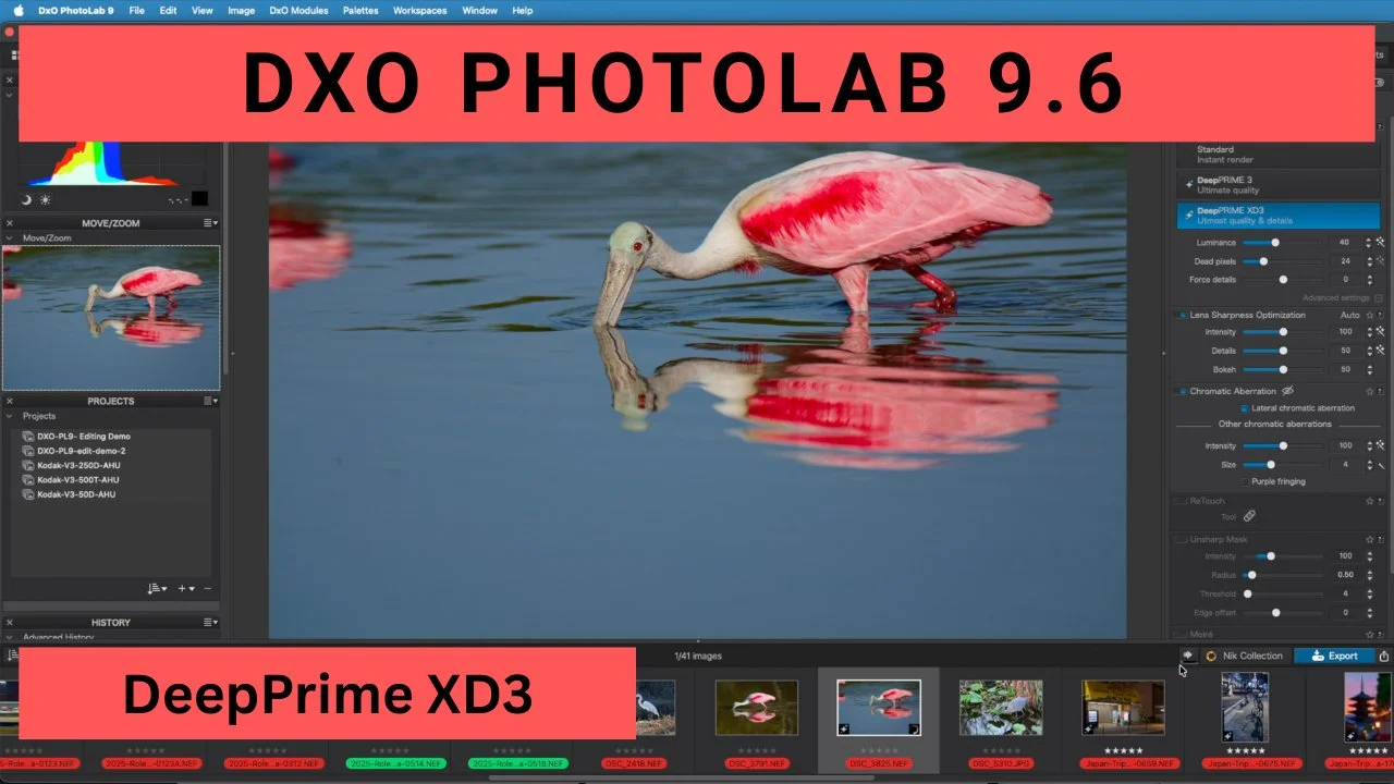 DxO PhotoLab 9.6 Just Dropped — And It’s a Massive Leap for Every Photographer