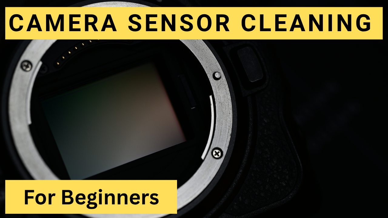 Digital Camera Sensor Cleaning for Beginners