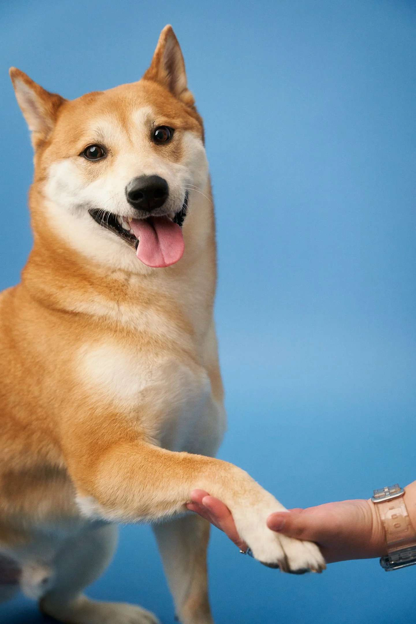 Apr30-WaggingBum-Final-Web-0008.jpg