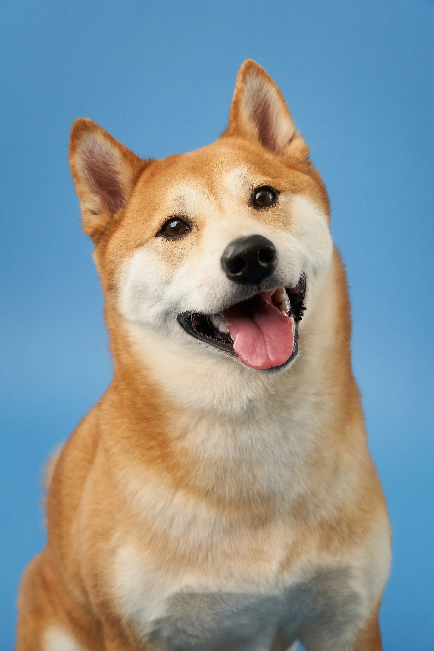 Apr30-WaggingBum-Final-Web-0007.jpg