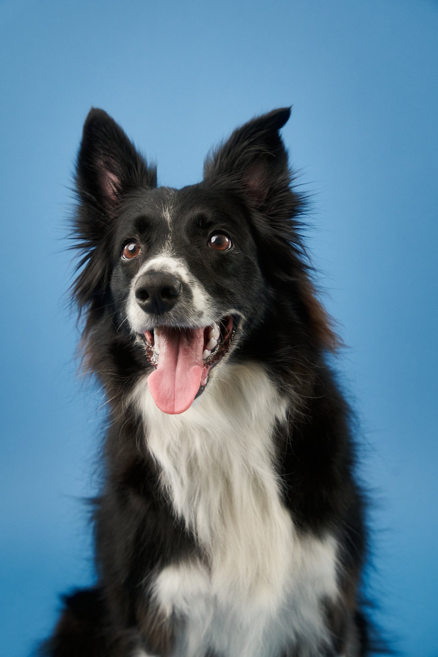 Apr30-WaggingBum-Final-Web-0001.jpg