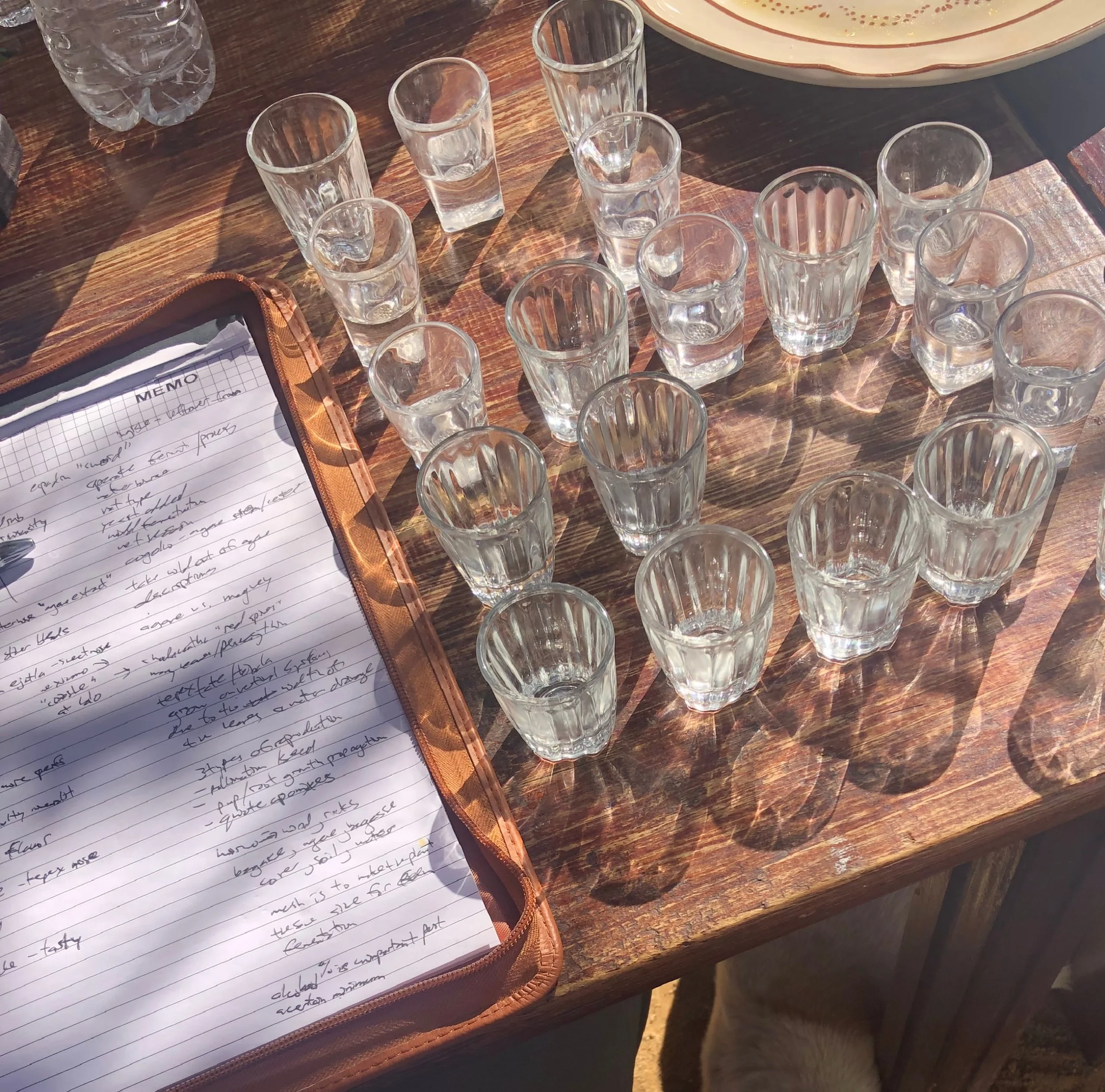 lined-up-cups-of-mezcal-or-vaso-veladoras-with-notes