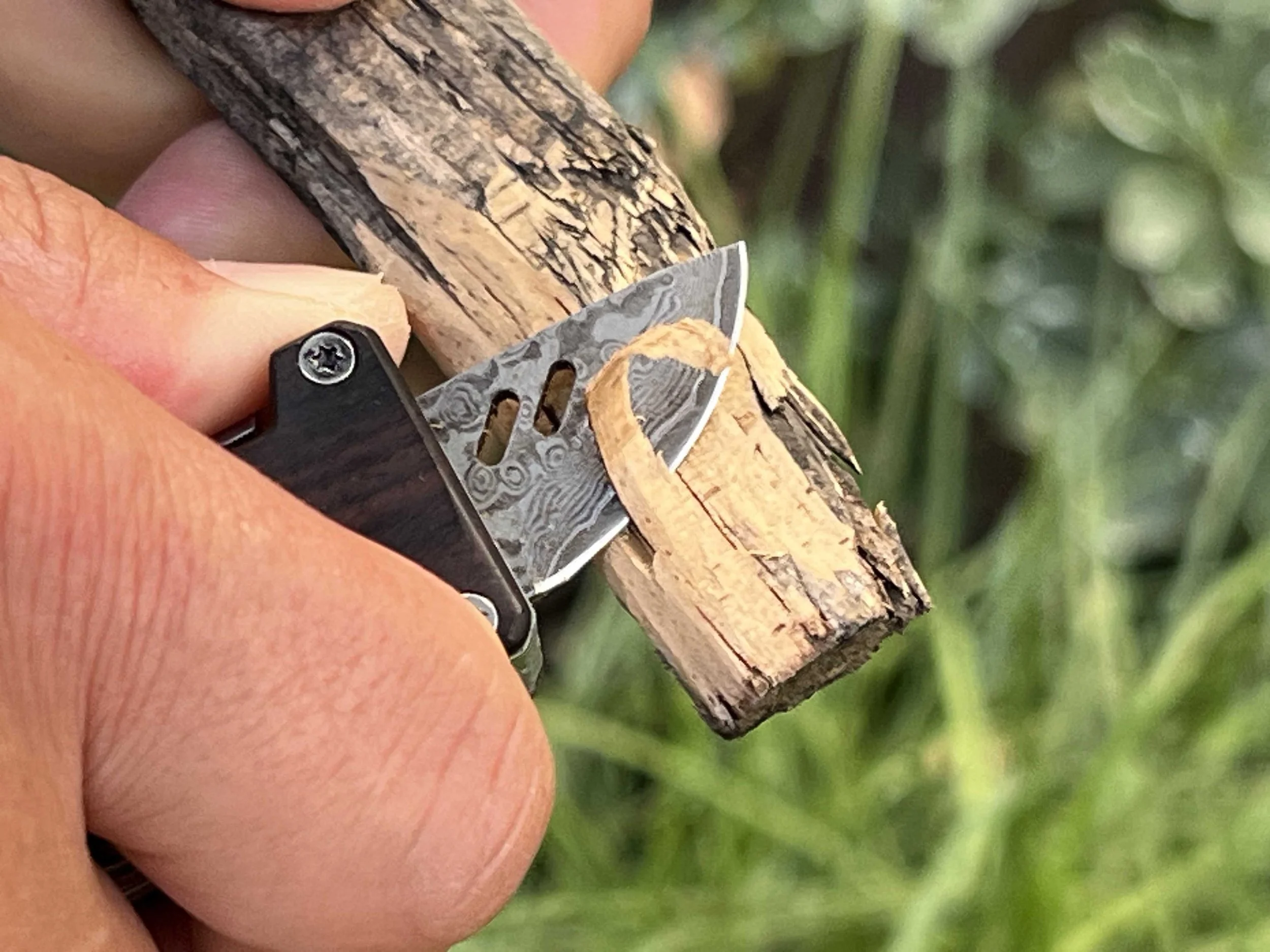 Edge & Pop carving wood