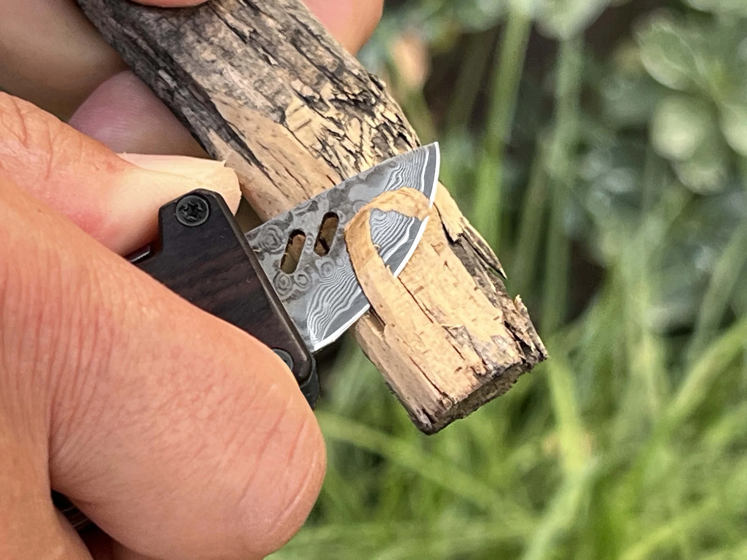 Edge & Pop Dual Carving Wood