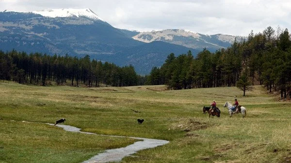 Stream access opinion signals change for NM anglers
