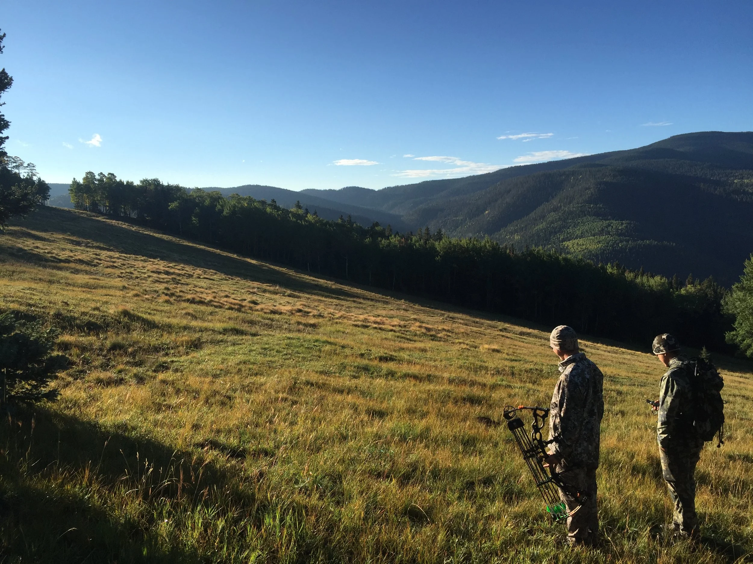 Conservation Groups Offer Briefing on Santa Fe, Carson, Forest Management Plans