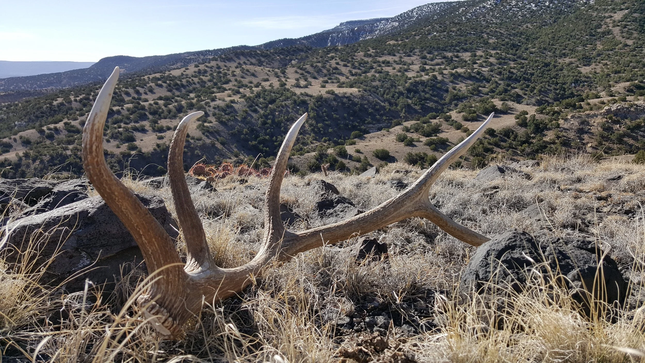 Game Commission to Address Mentored Hunting, Habitat Stamp Fee Increase