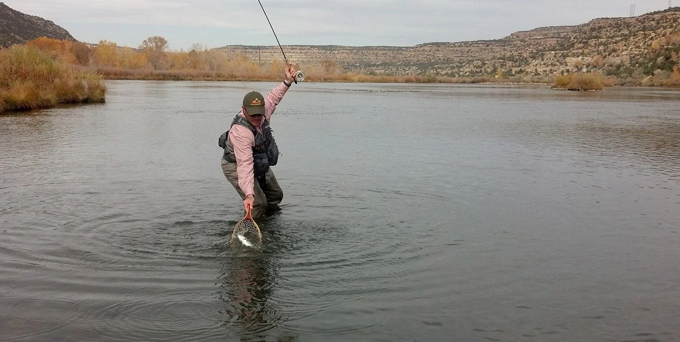 Hatcheries, habitat, fisheries and fire