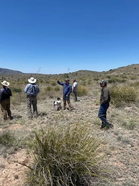 Land Commissioner Sets Meeting on Diamond A Ranch Proposal to Provide New Peloncillo Access