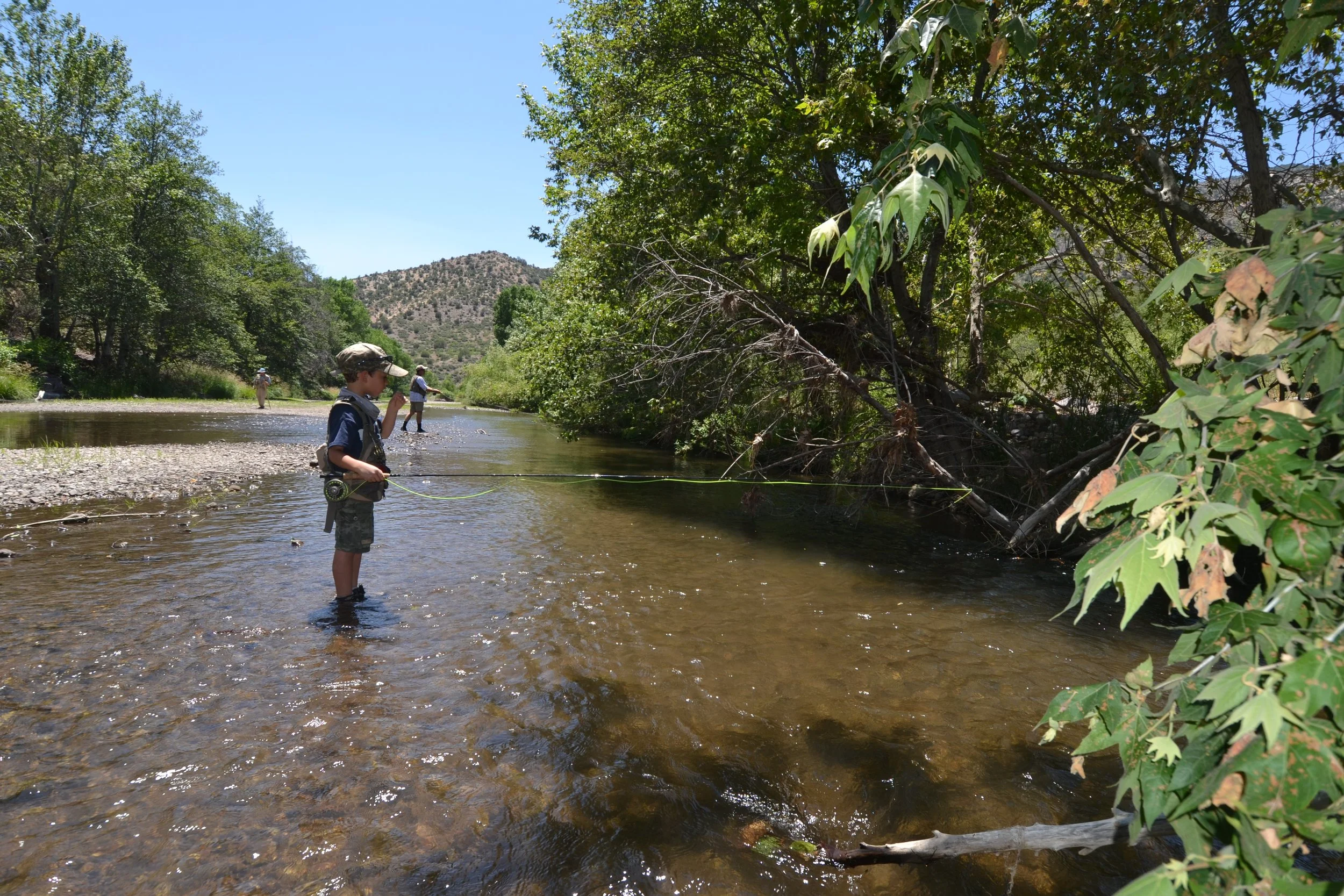 Protect the Gila, The Last Free Flowing River