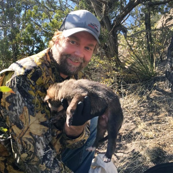 Wildlife Wednesday: Mexican Wolf Population Continues To Grow