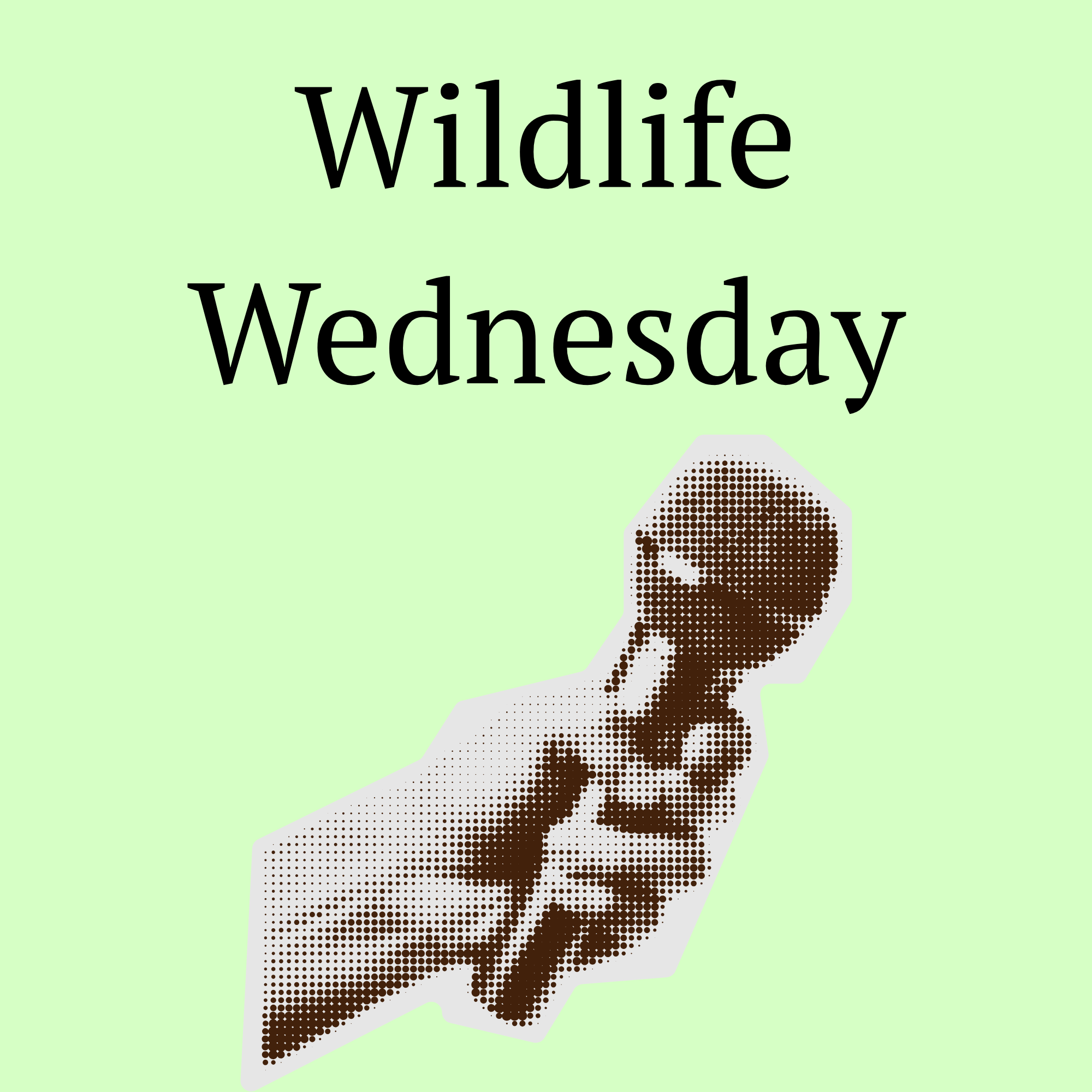 Wildlife Wednesday: Free Speaker Series