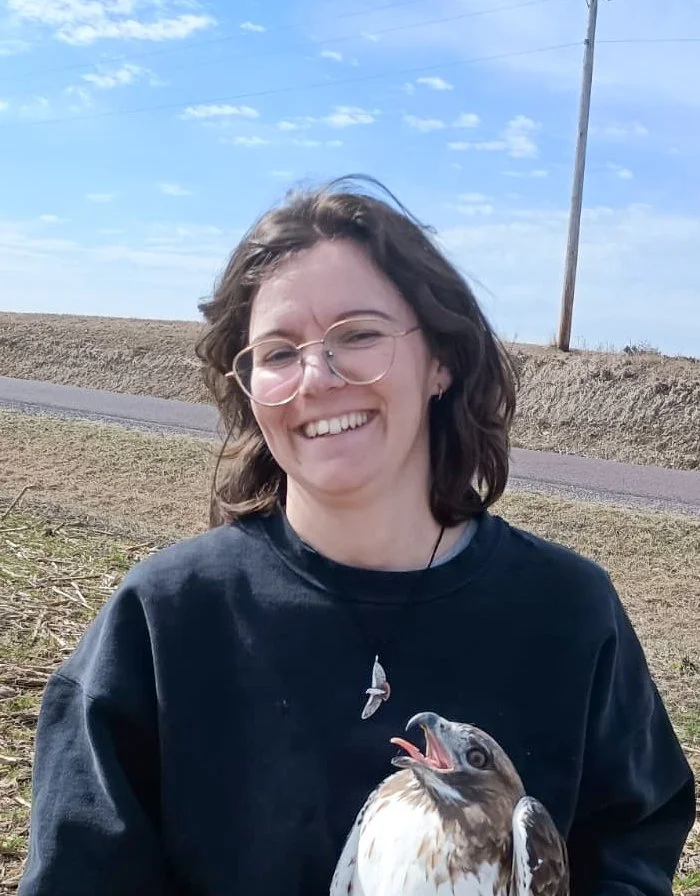 Bird Researcher to Speak on NM Red-Tailed Hawks 