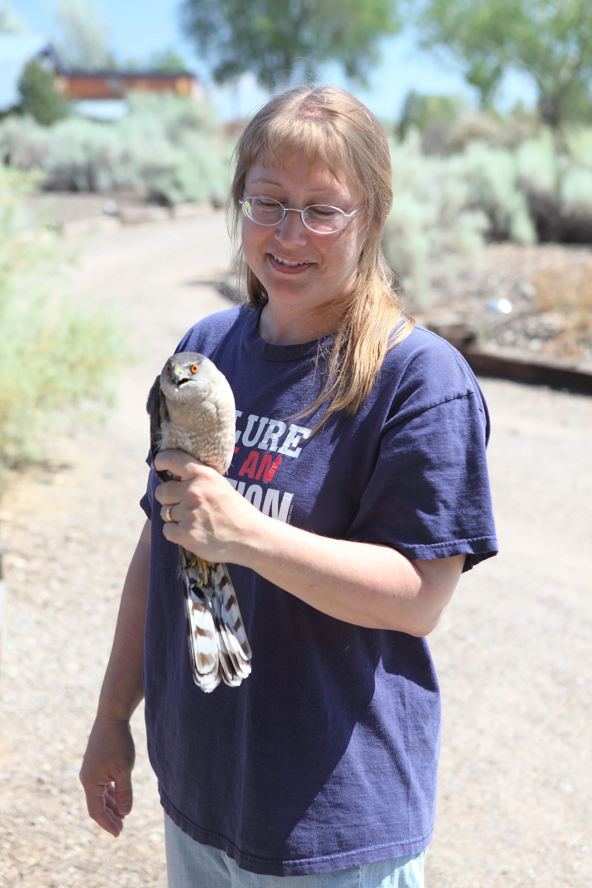 Wildlife Wednesday Free Event: Tracking Cooper’s Hawk Survival