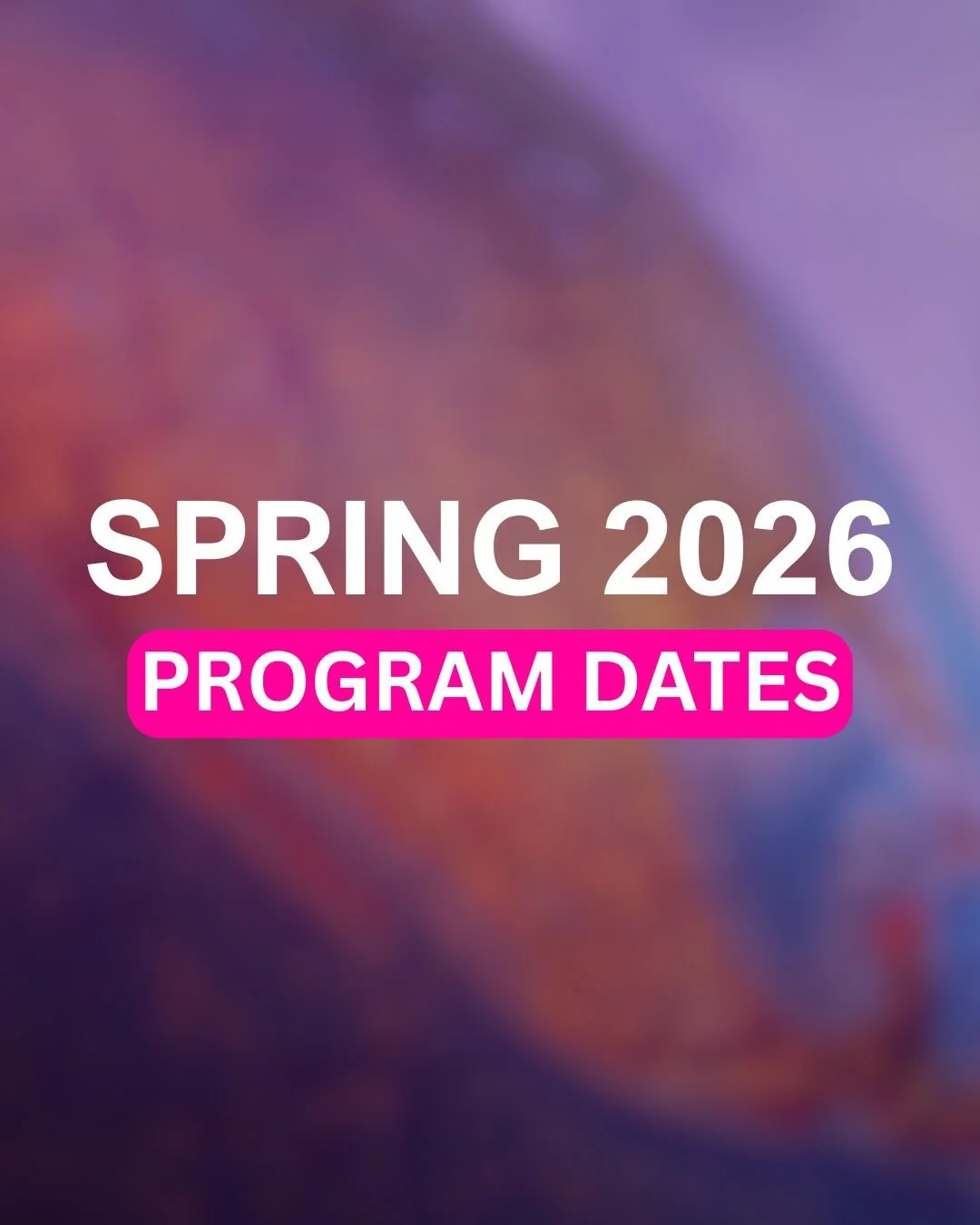 Spring 2026 Program Dates
Program starts: February 1st 

Hurry there&rsquo;s still time to sign up, the last day to register is January 25th!

#languageexchange #worldlangamerica #spring2026 
#languagelearning #worldlanguages