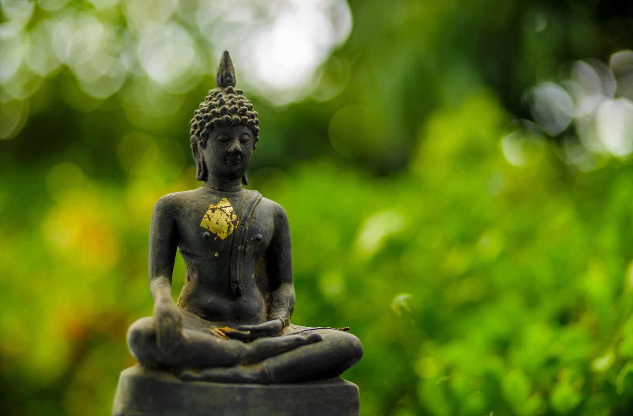 Deepening Practice 28-day retreat