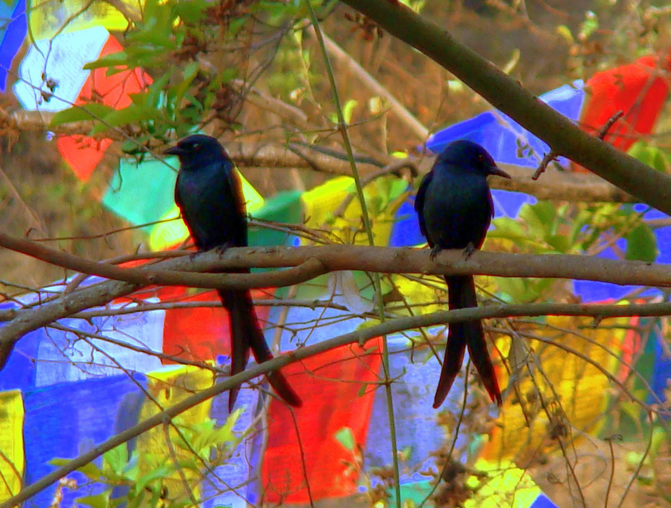 Remembering Awareness