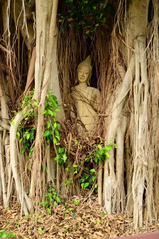 Weekend of Mindfulness