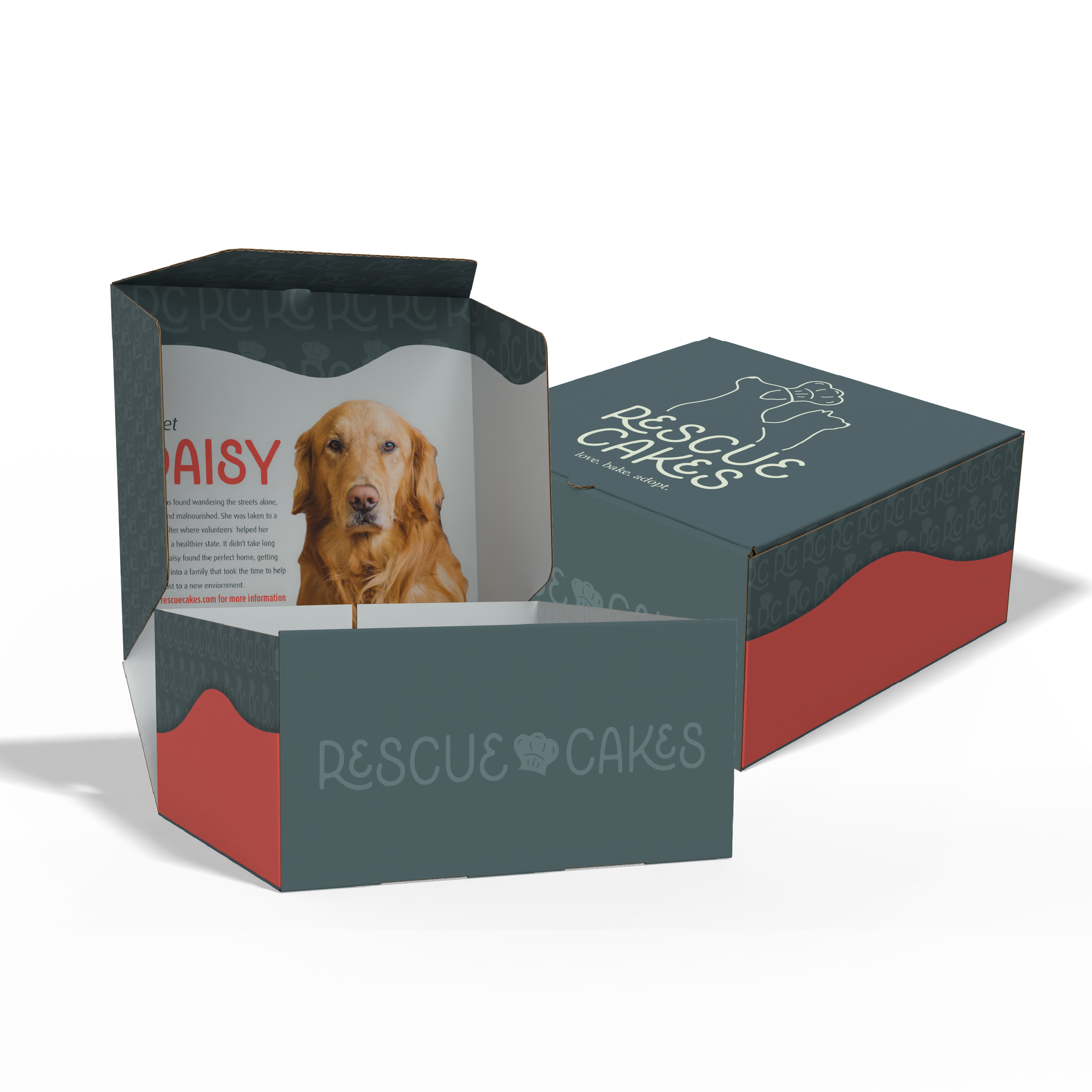 RC website mockups-03.png