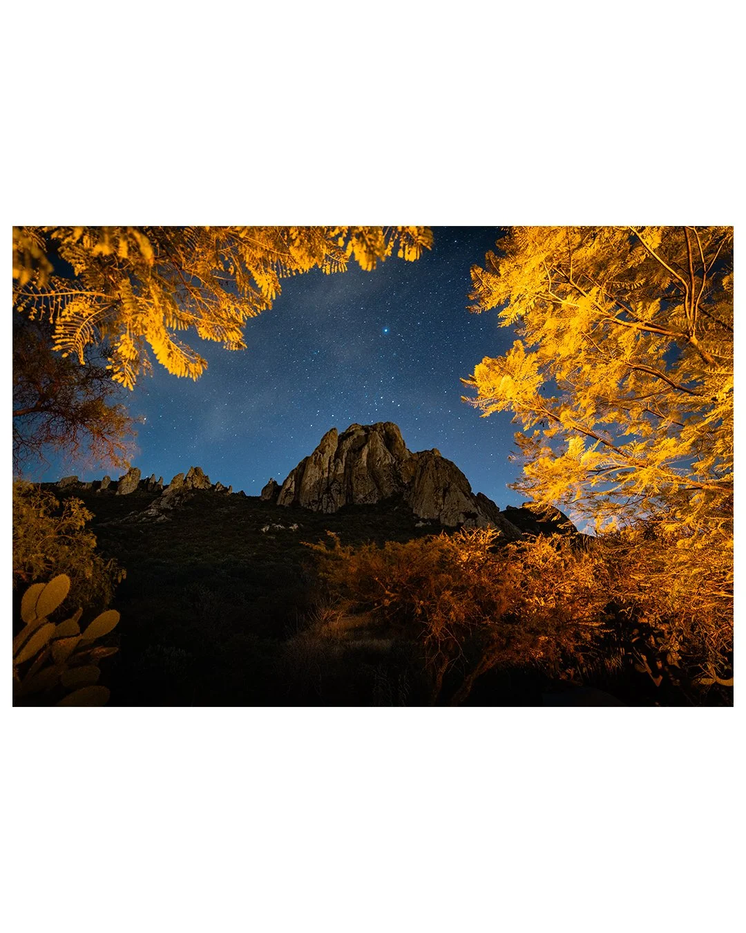Untitled-6.jpg