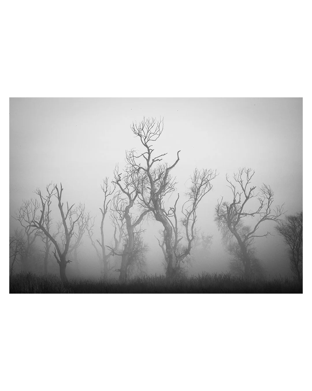 Untitled-5.jpg