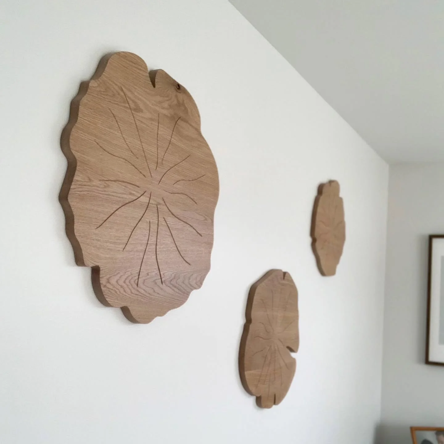 Gorgeous custom abstract organic art panels. Made from solid white oak, the shape was inspired by tree trunk cross sections.  I am over the moon with how well they turned out!