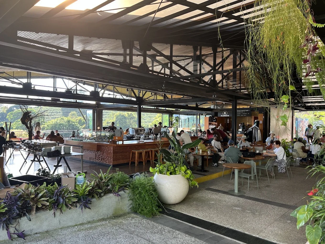 Starbucks Hacienda Alsacia - Costa Rica.jpg
