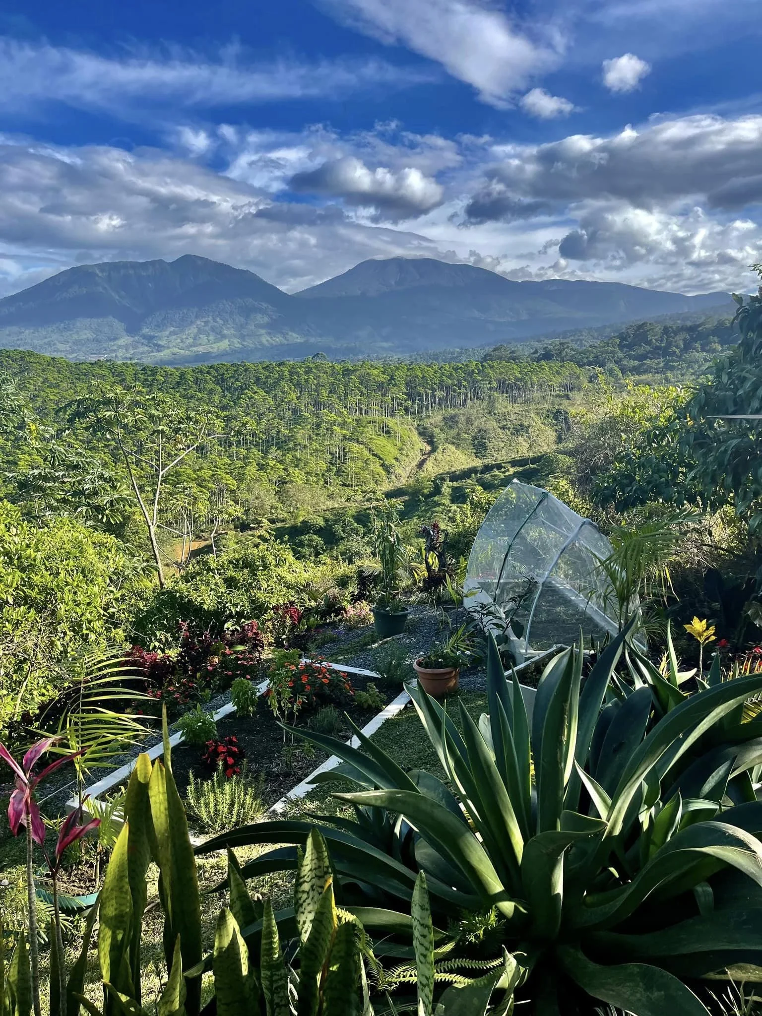 Finca 360 Beautiful.jpeg