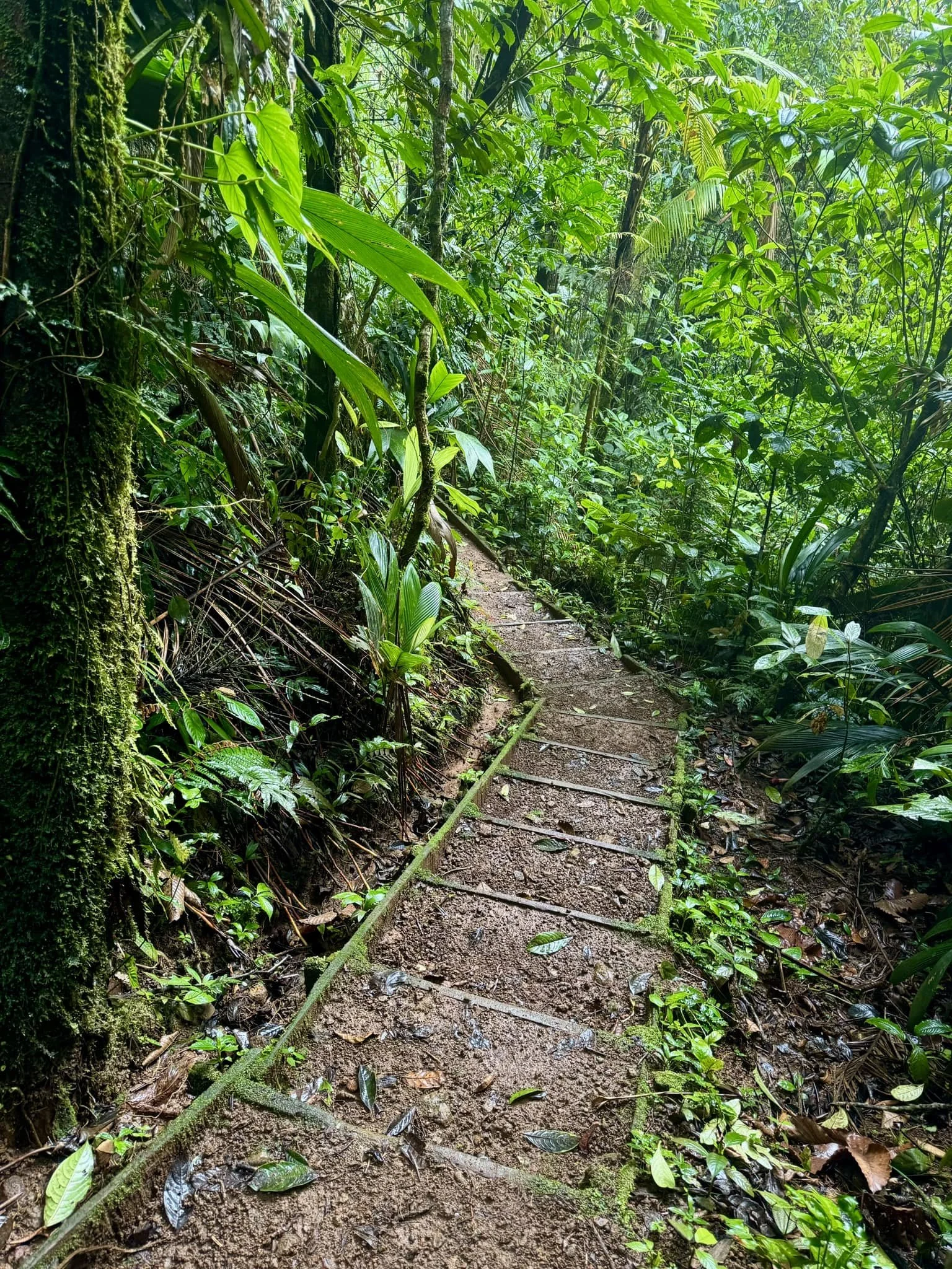 FInca Hike.jpg