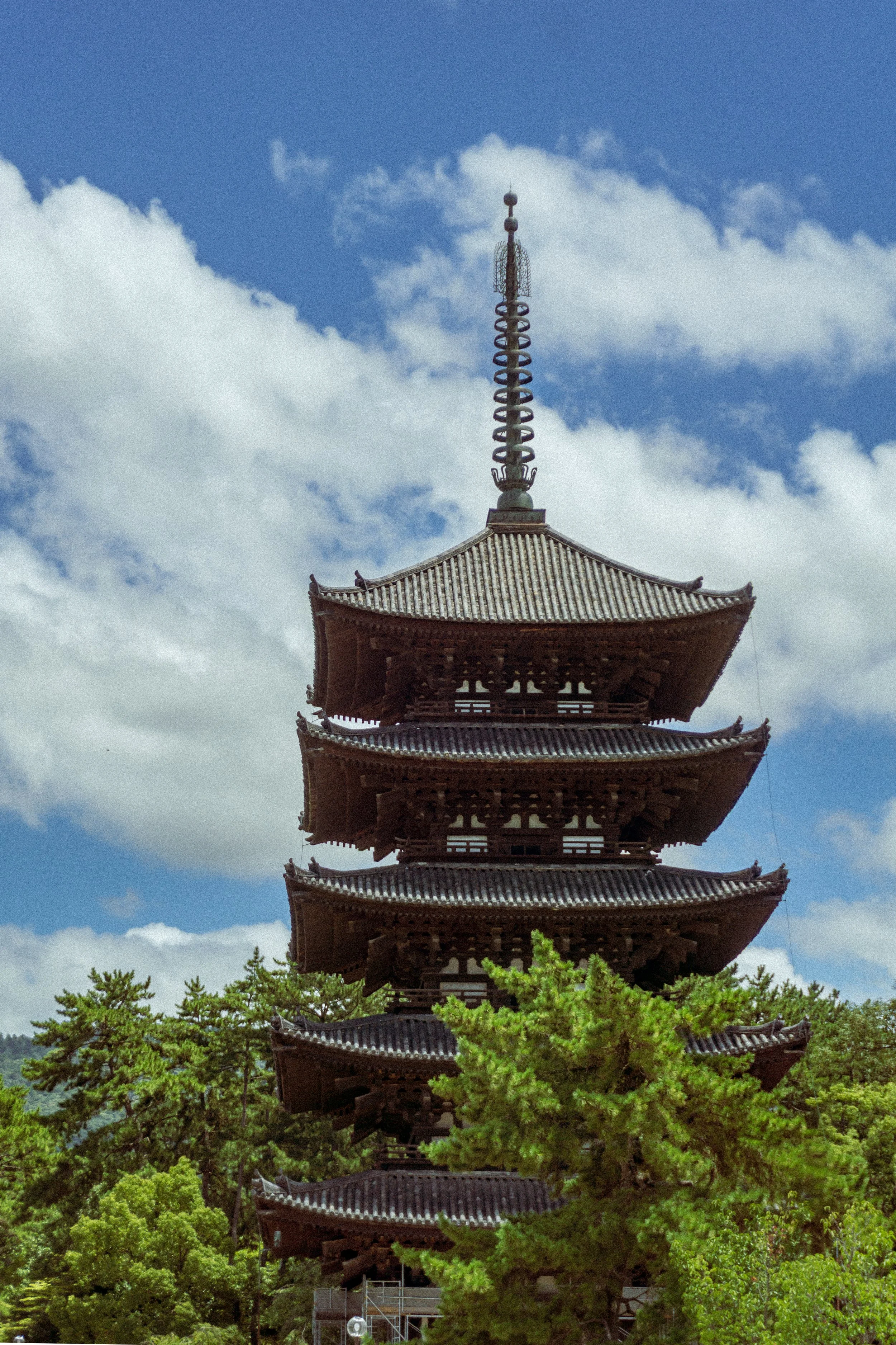 JP_Paulo_Goa_Japan_2023_Selection-31.jpg