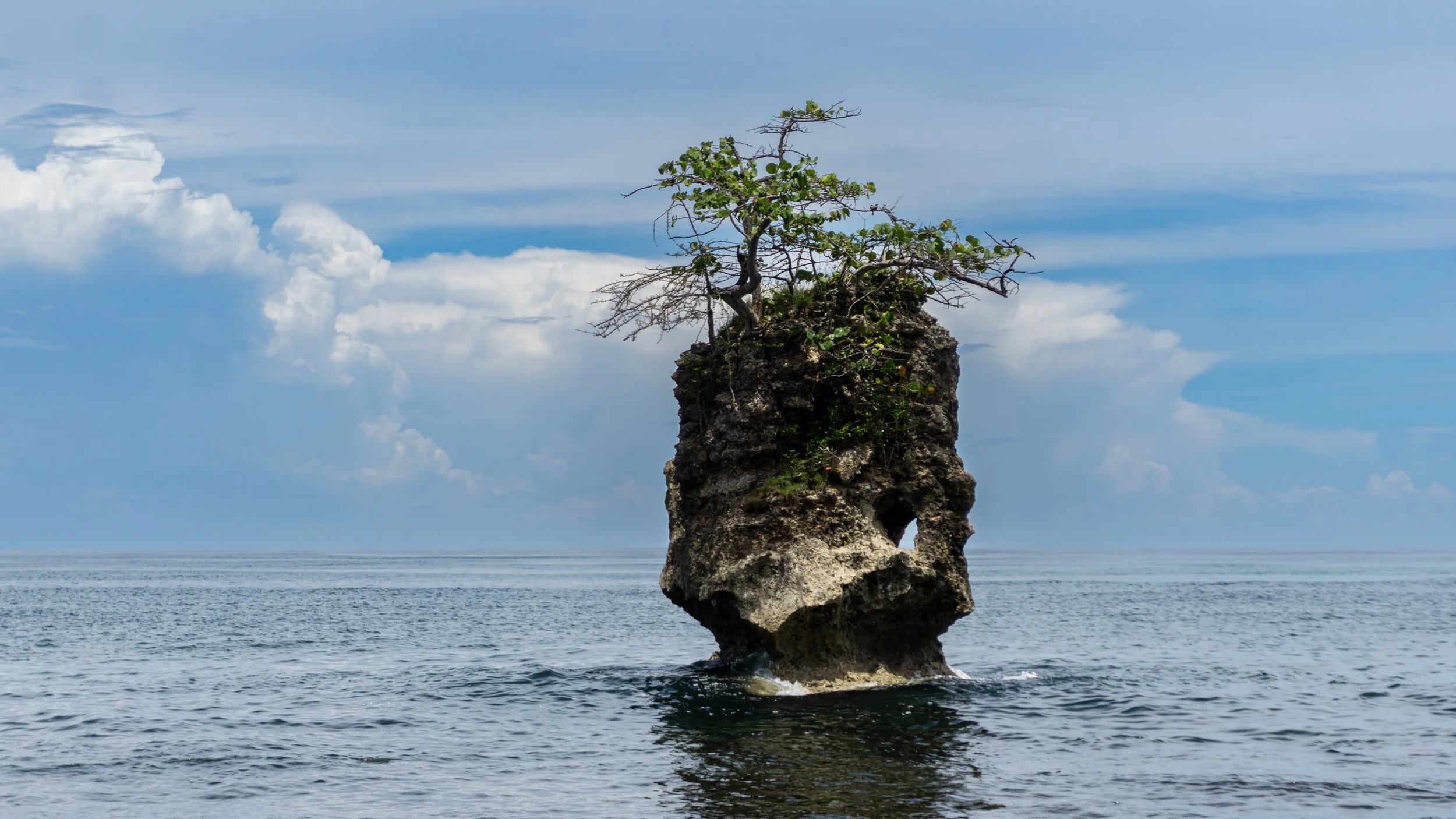 Puerto Viejo de Talamanca, Costa Rica. 2023