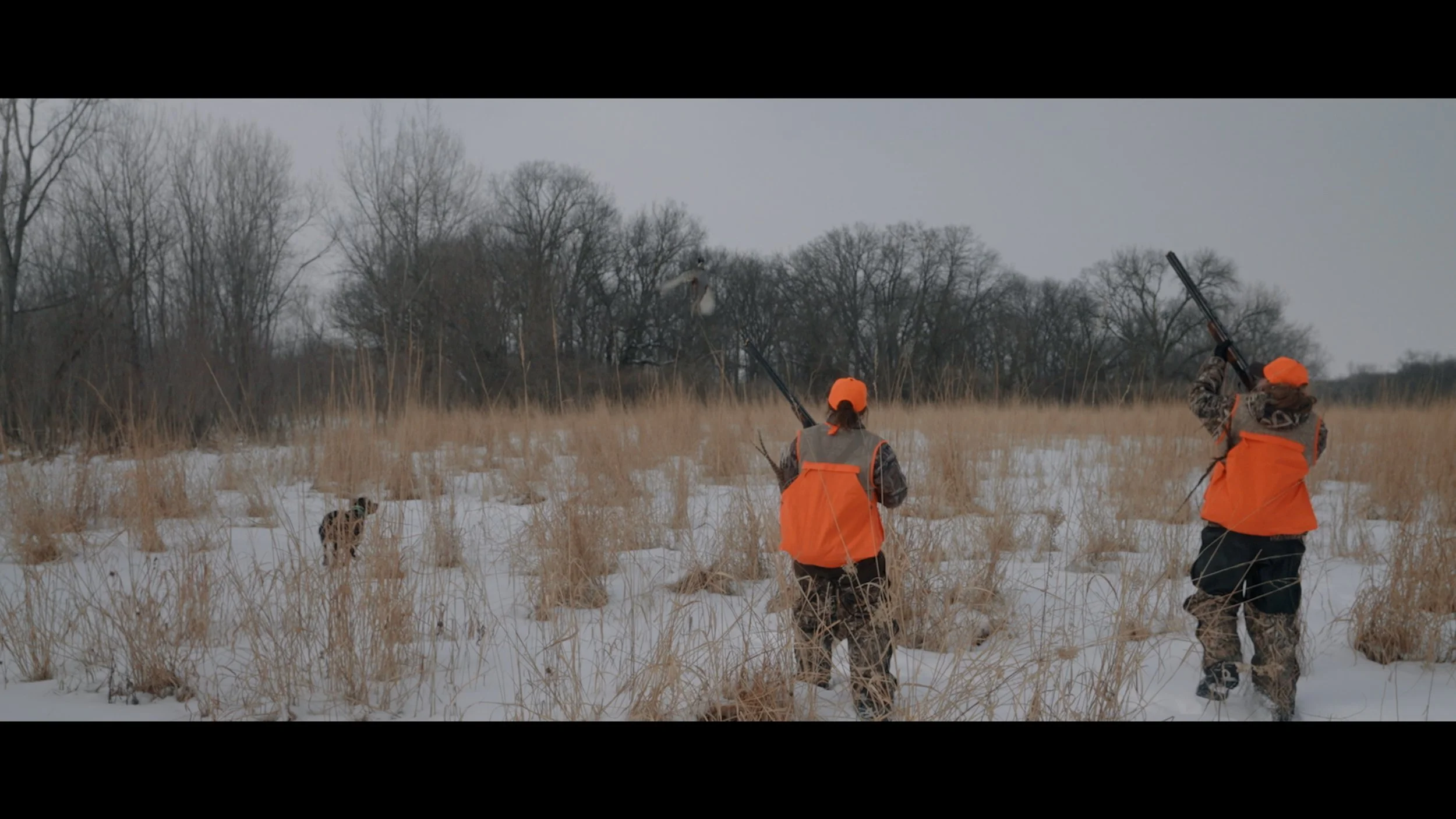 All MLP Work.02_53_16_14.Still007.jpg