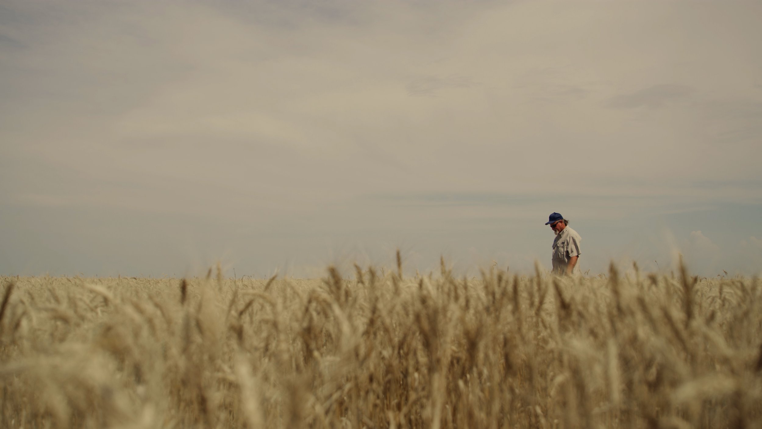 All MLP Work.03_35_46_19.Still001.jpg