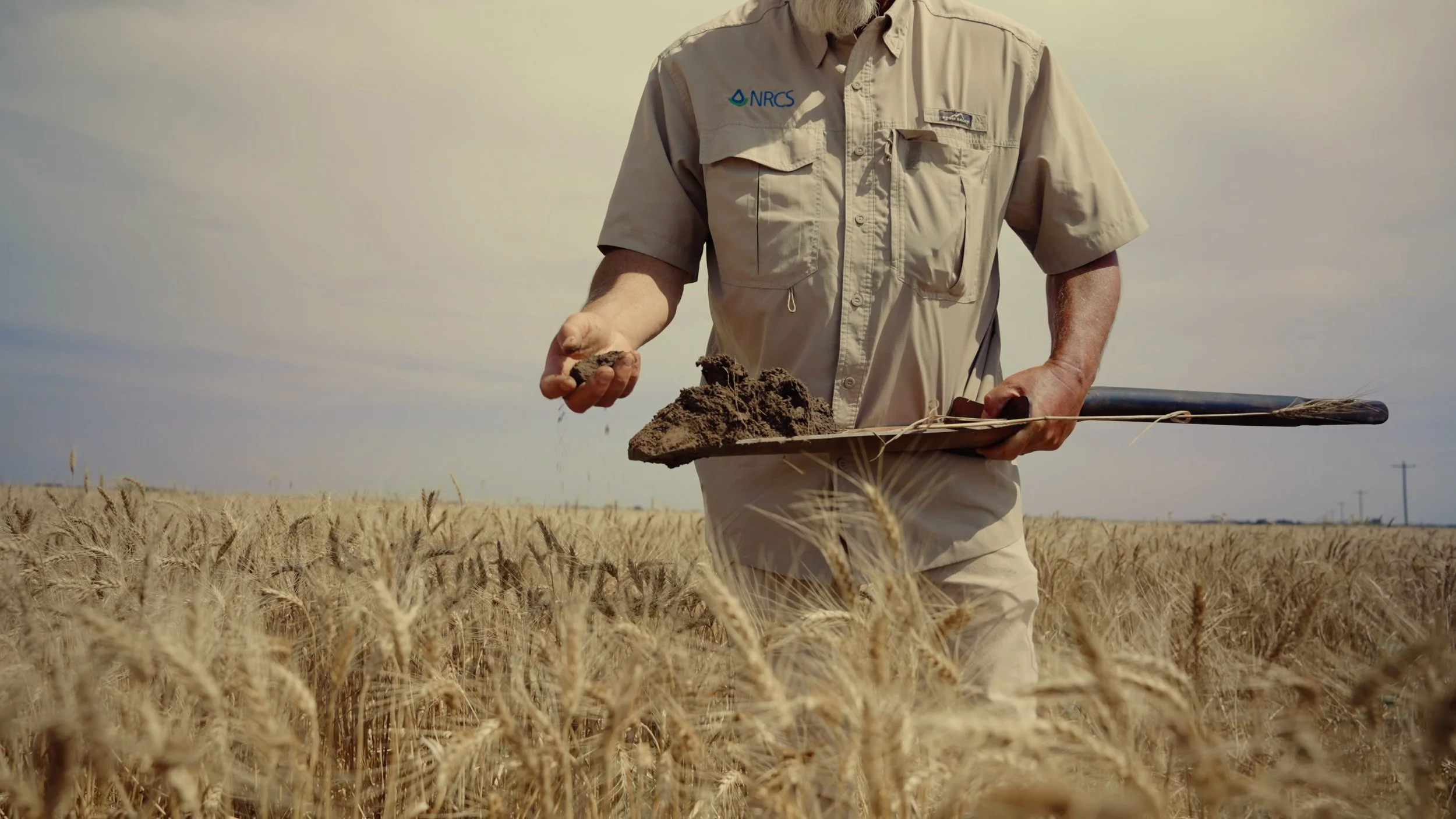 All MLP Work.03_36_01_13.Still003.jpg