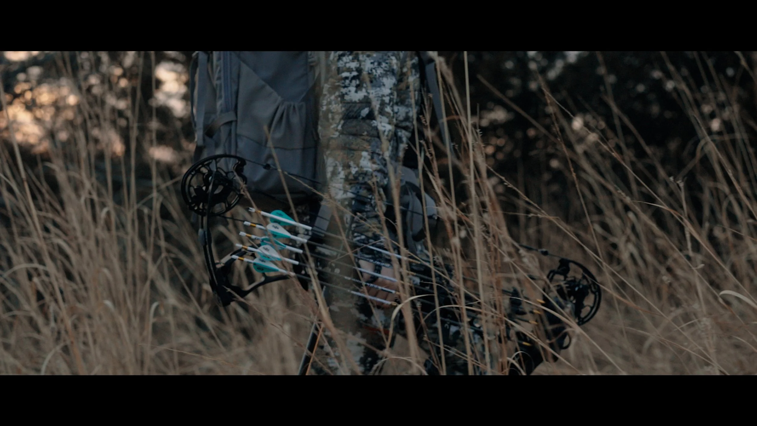 All MLP Work.02_51_45_05.Still005.jpg