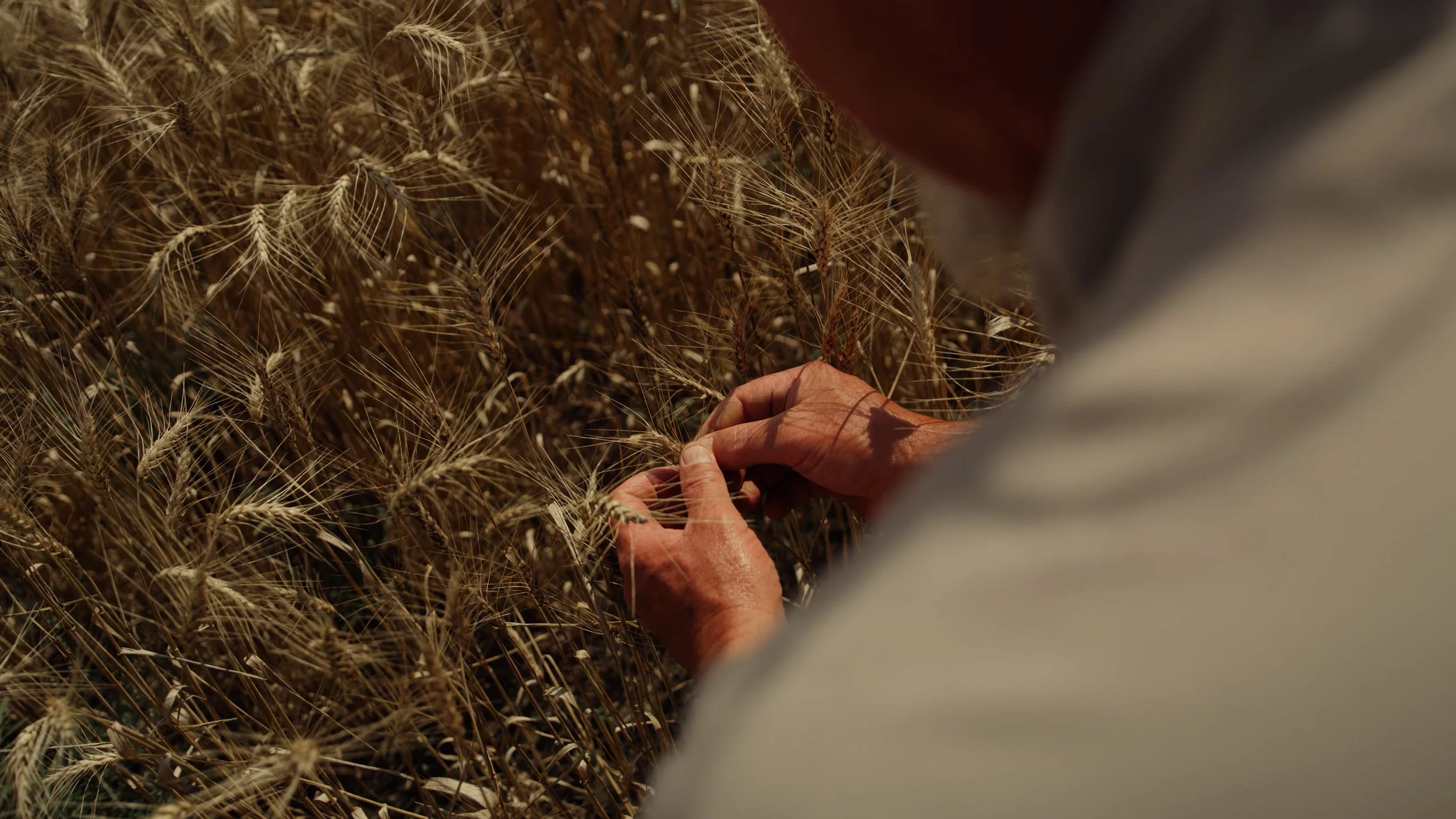 All MLP Work.03_35_55_19.Still002.jpg