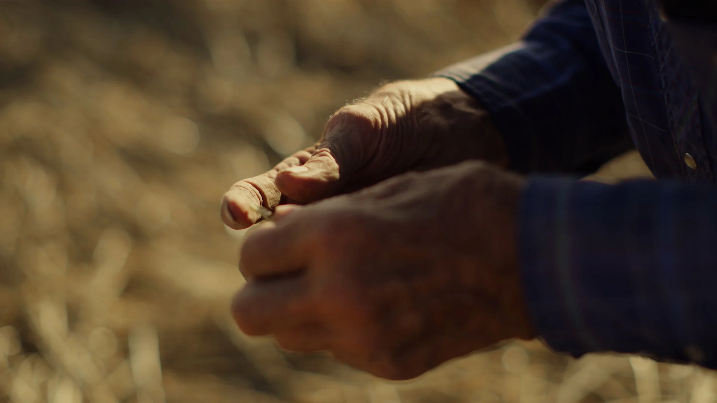 All MLP Work.03_38_51_08.Still010.jpg