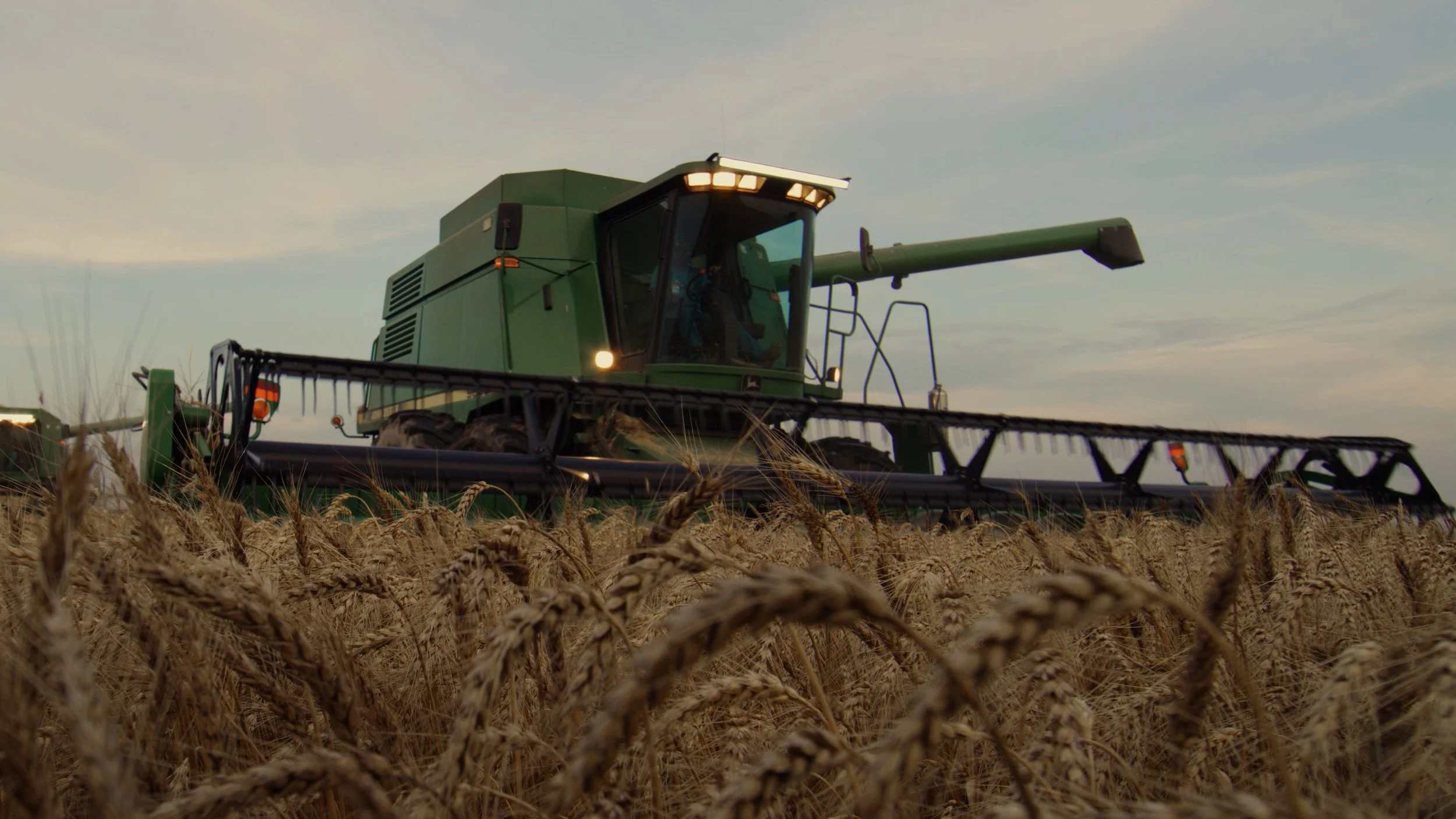 All MLP Work.03_37_03_19.Still008.jpg