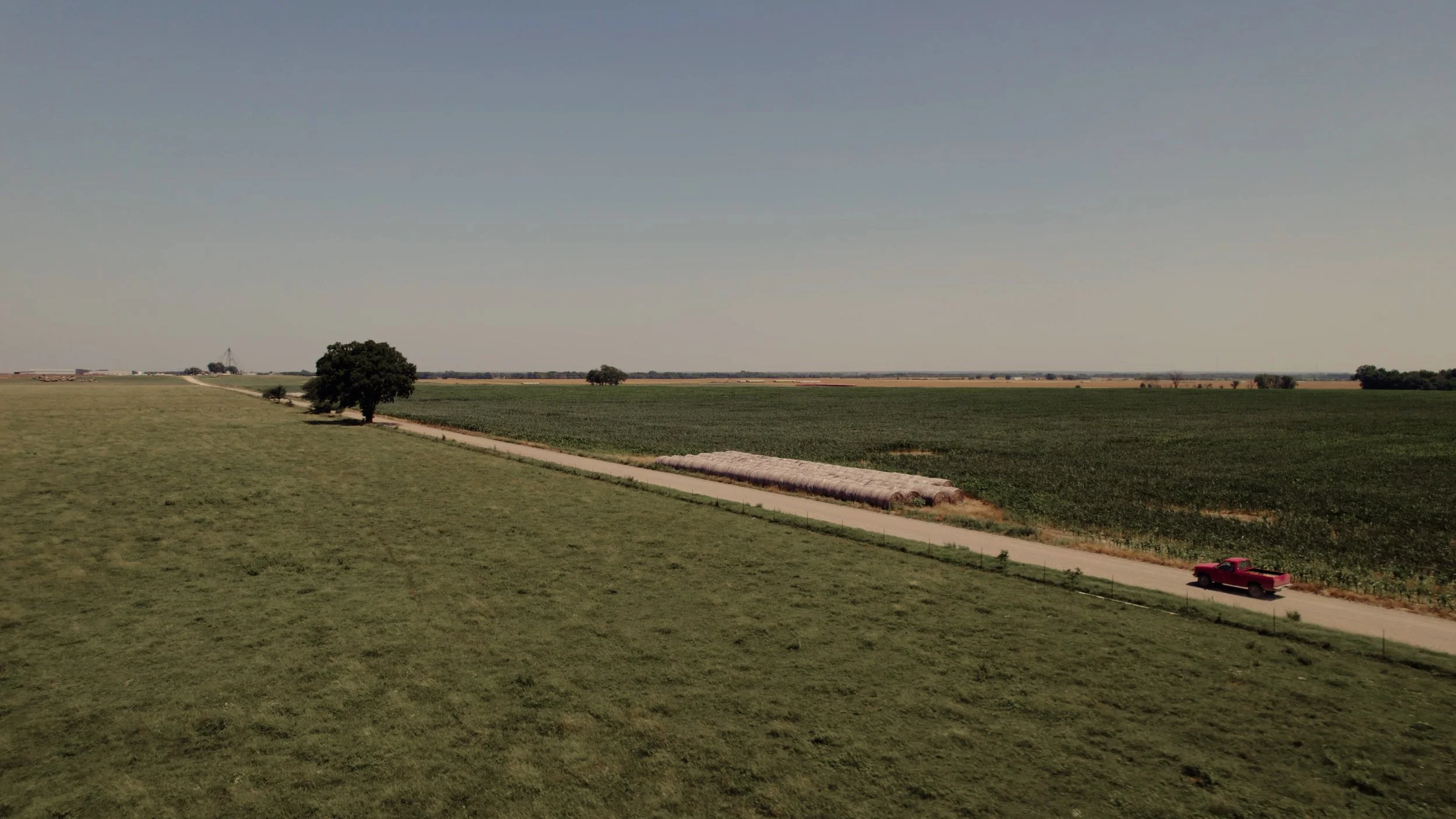 All MLP Work.03_36_16_05.Still005.jpg