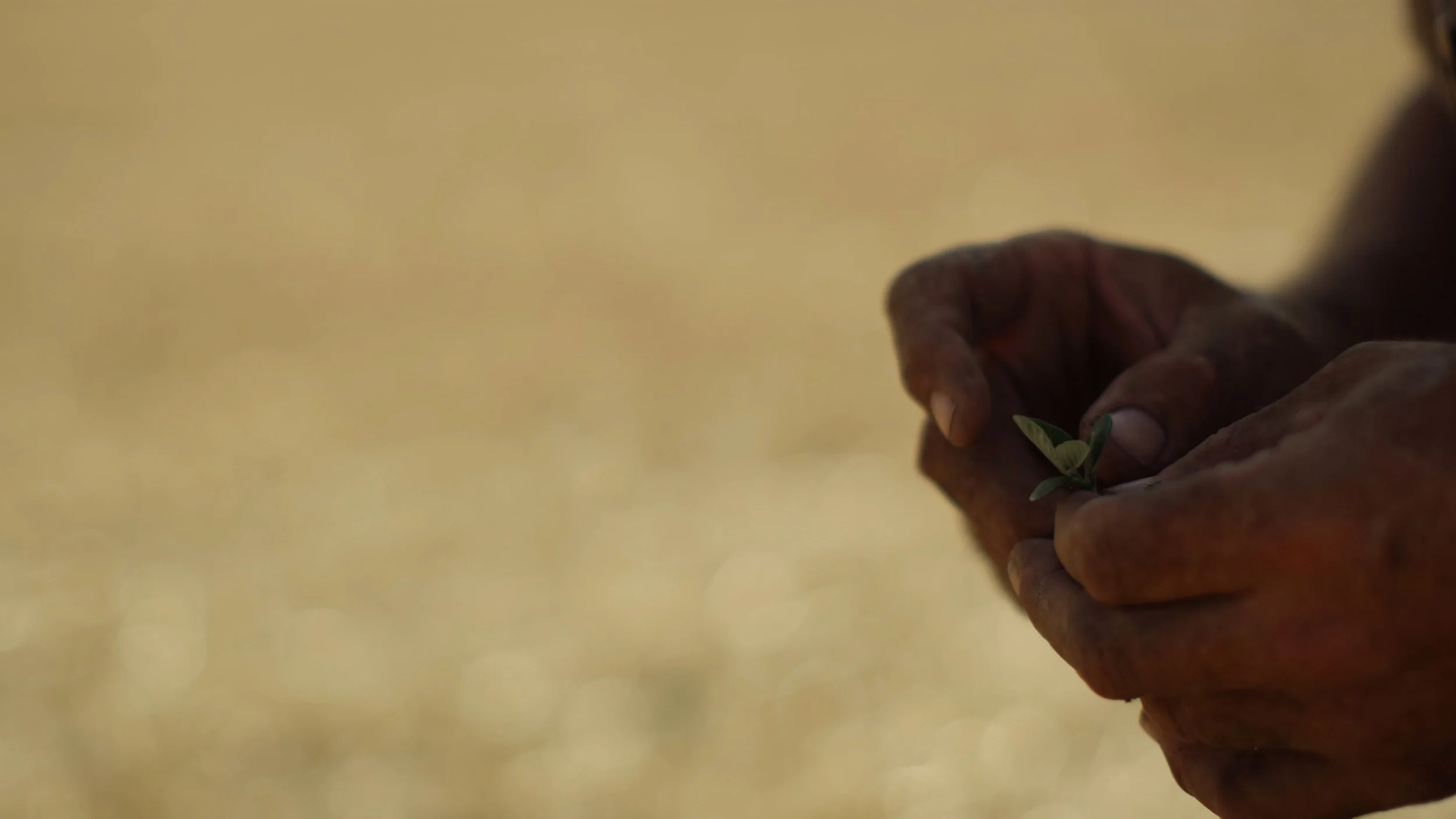 All MLP Work.03_38_52_13.Still011.jpg